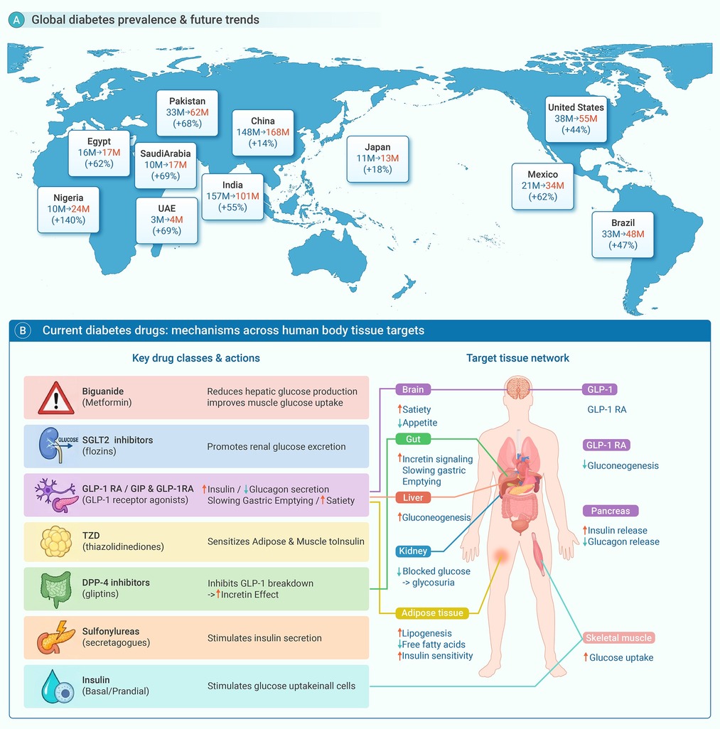 Current diabetes drugs: Lessons learned and implications for next