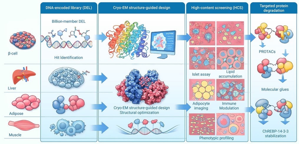 Current diabetes drugs: Lessons learned and implications for  next-generation therapeutics