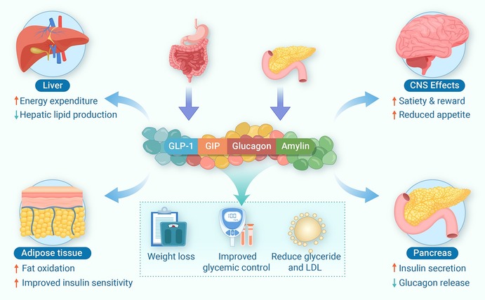 Current diabetes drugs: Lessons learned and implications for next