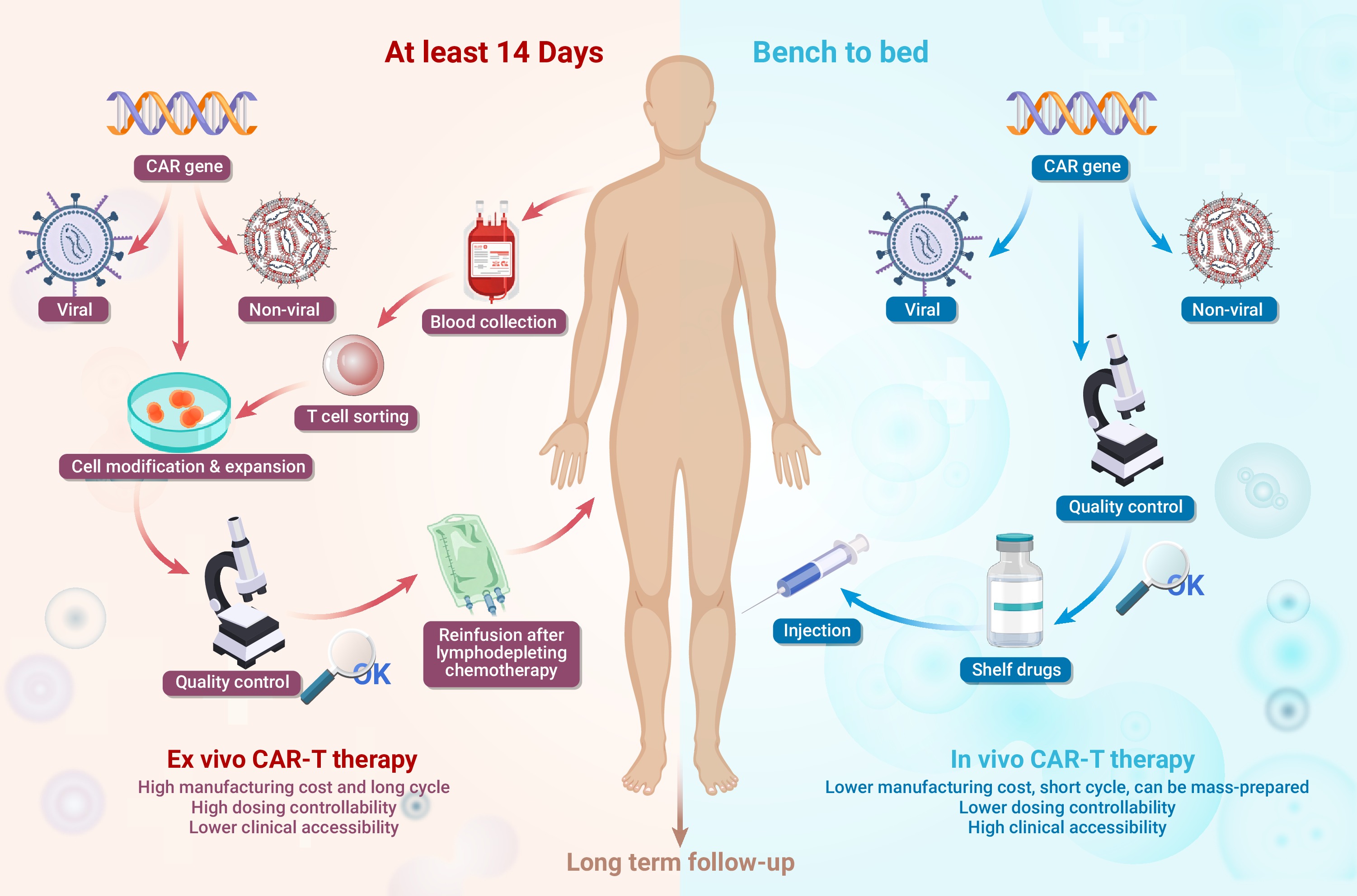 Approaches to in vivo CAR-T therapy technology and considerations 