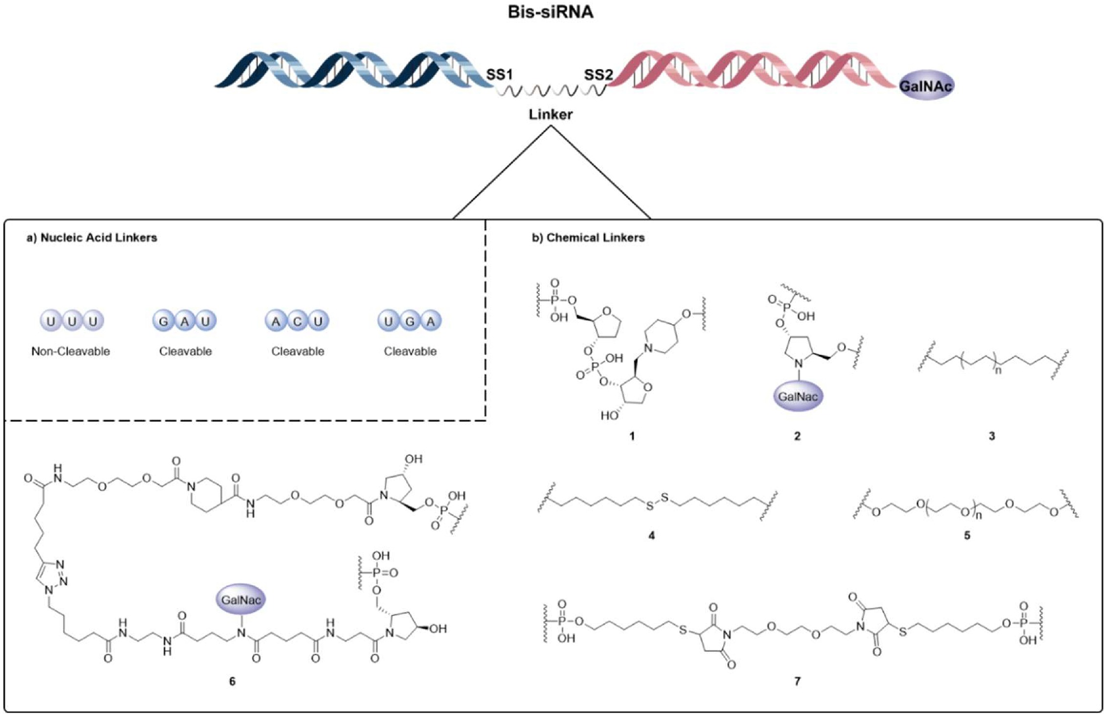 New trends of oligonucleotide-based therapeutics