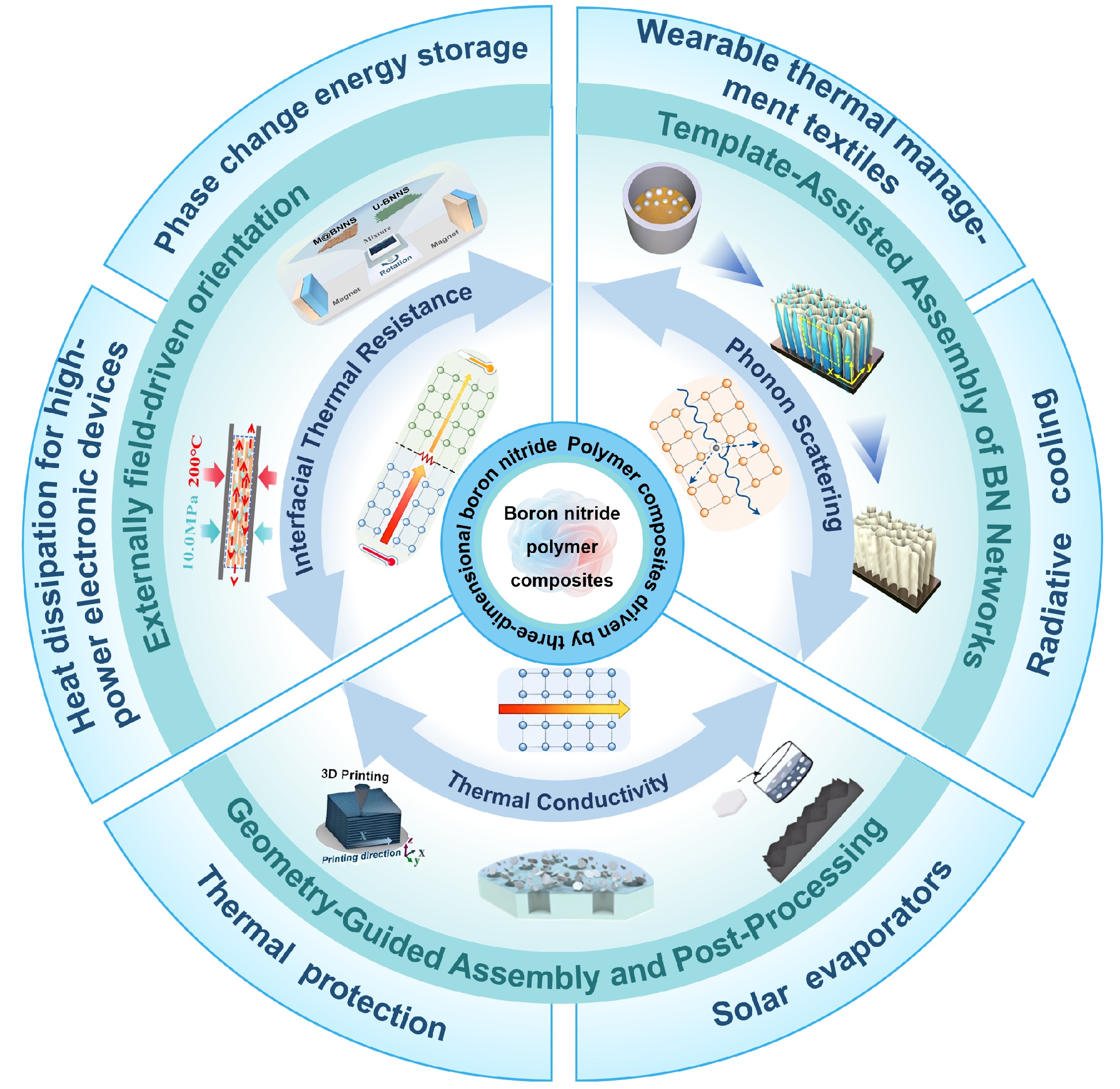 Three-Dimensional Boron Nitride Networks in Polymer Composites