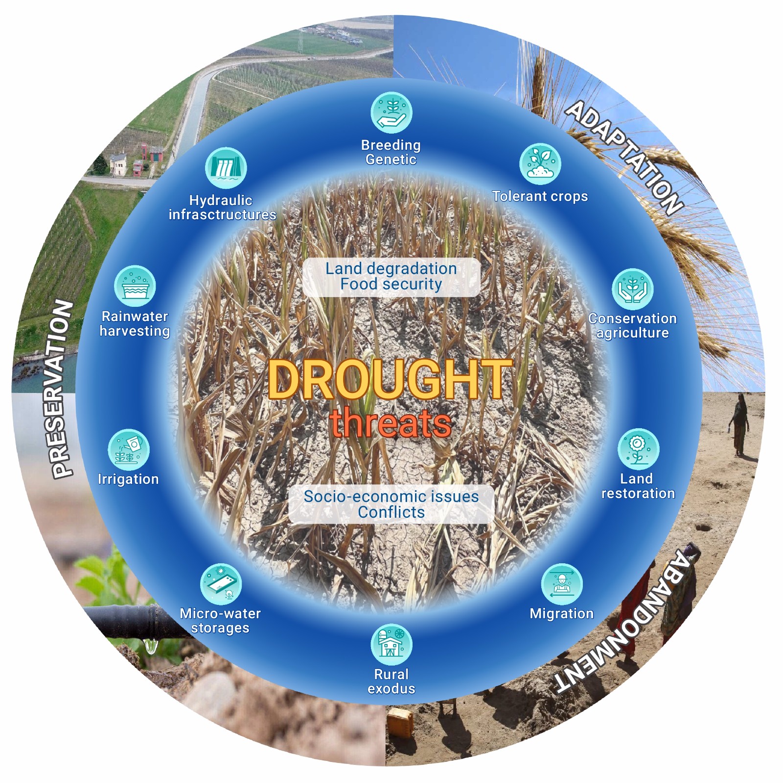 effects of drought on agriculture