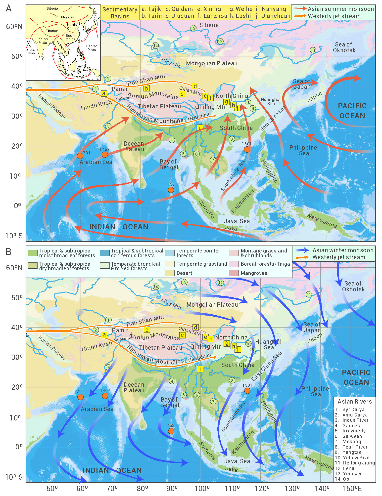 Formation and evolution of the Asian landscape during the Cenozoic