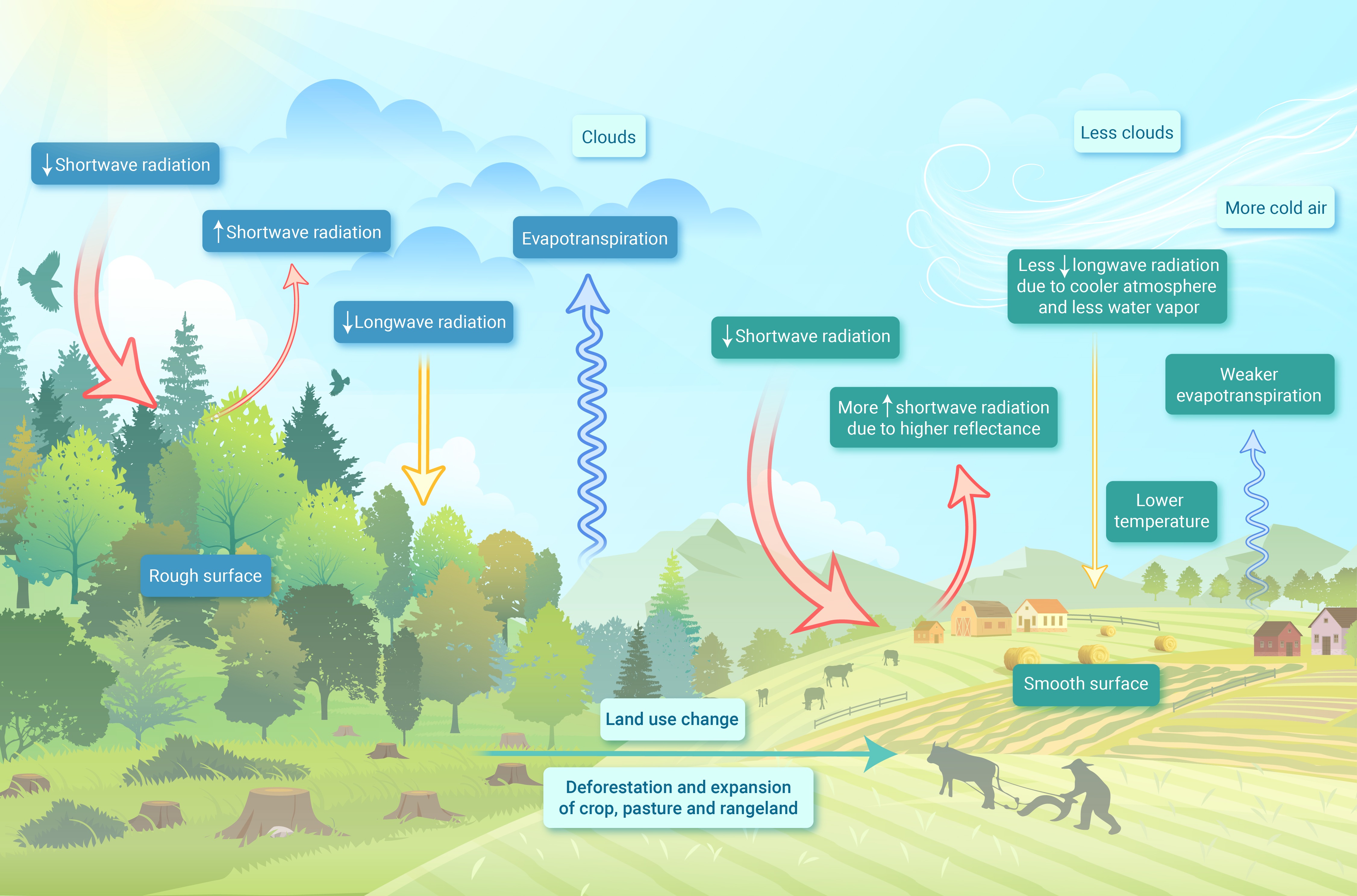 Historical land use and land cover change reduced the temperature