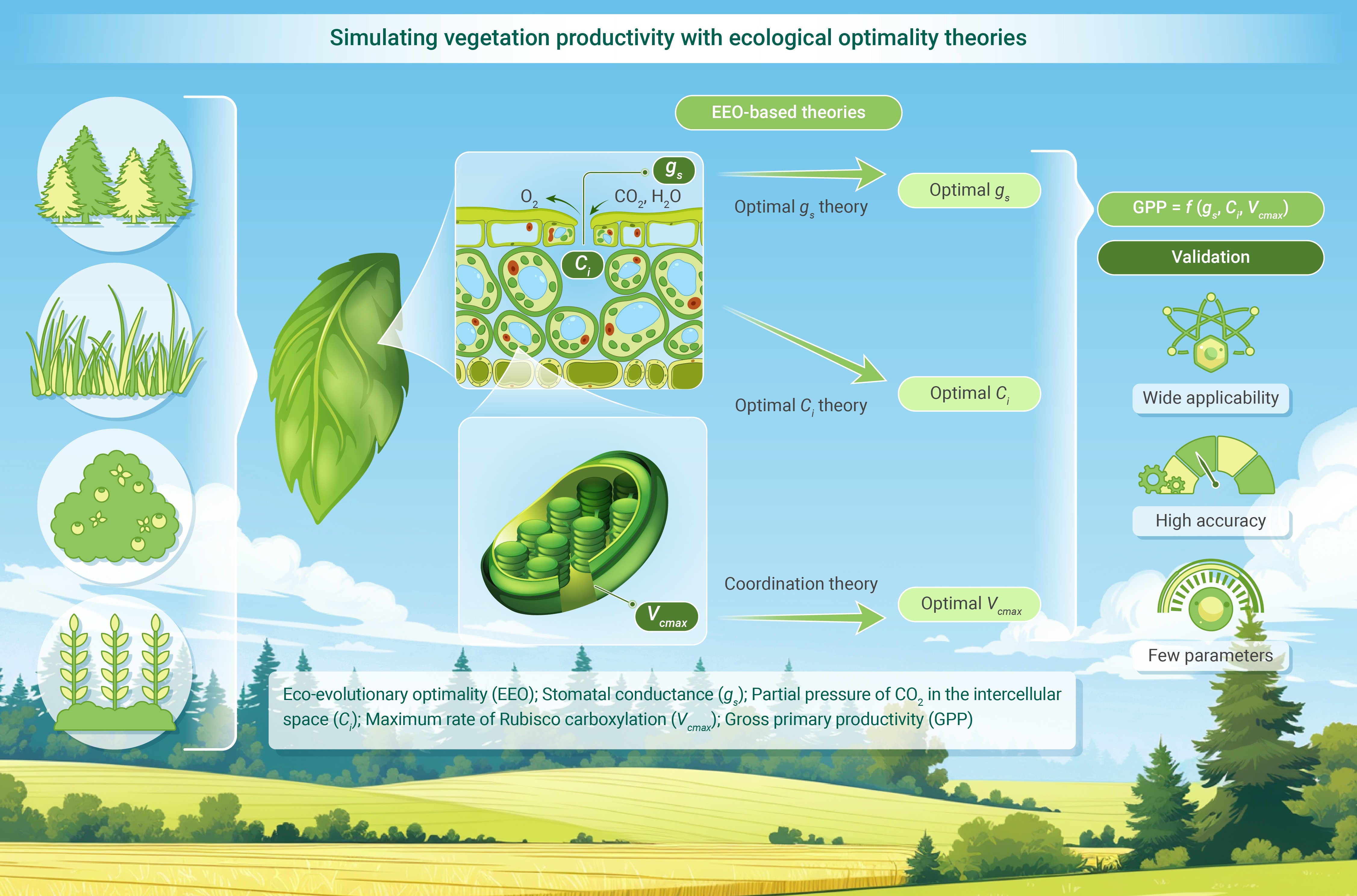 Simulating climatic responses of vegetation production with