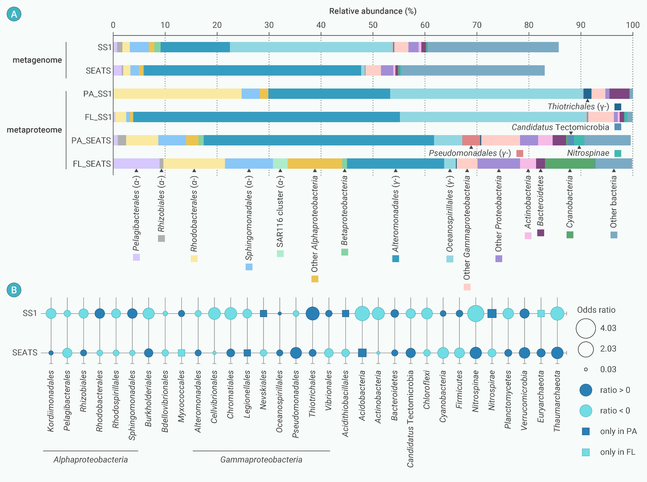 Integrated meta-omics reveals organic matter processing by