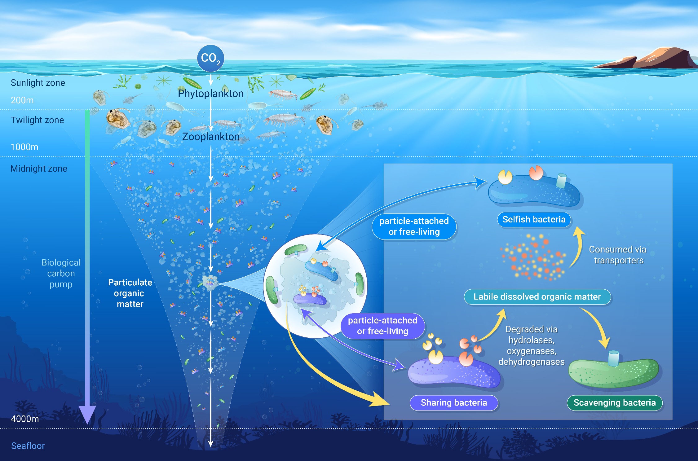 XINNGEOSCIENCE-2025-0022-