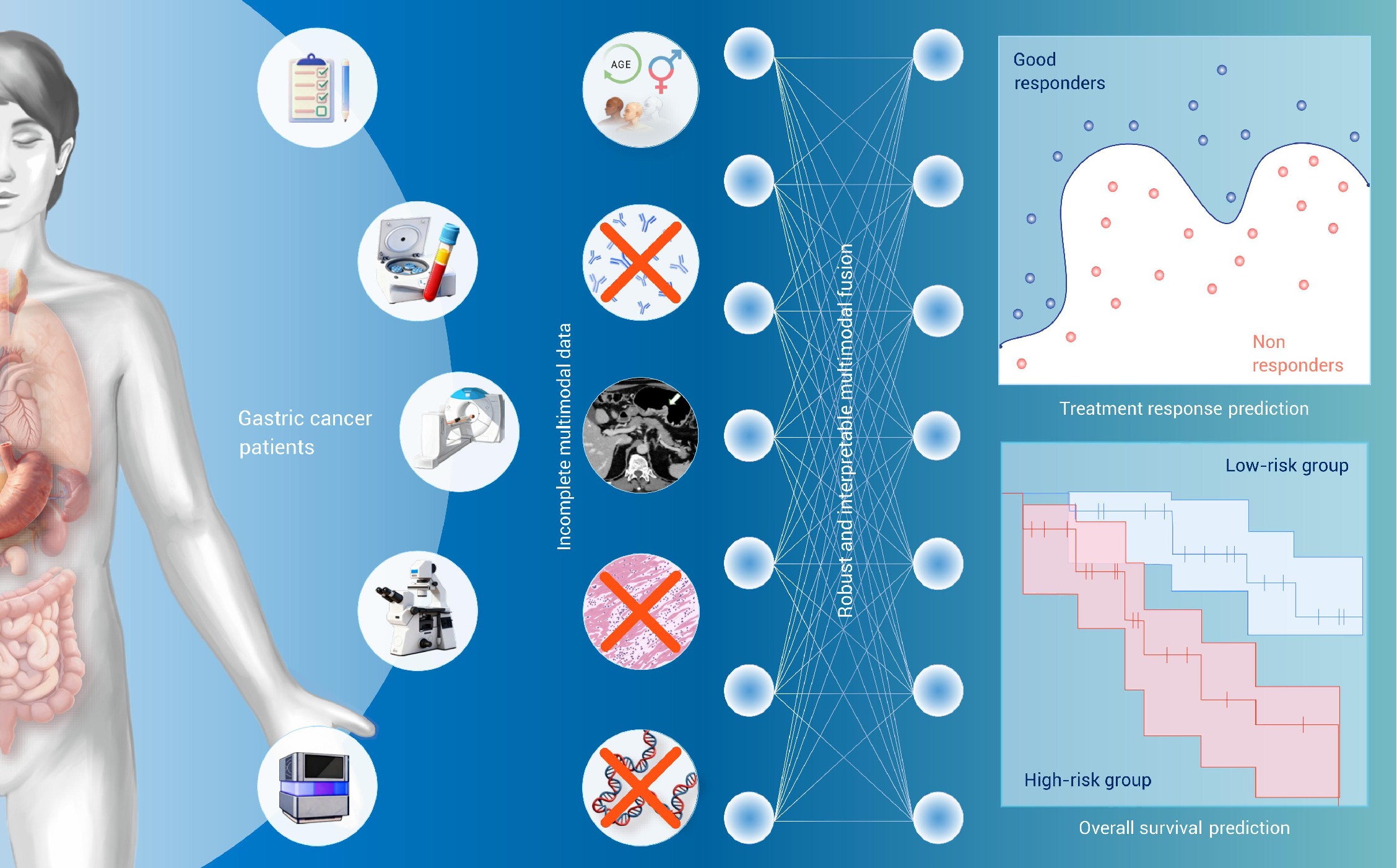 Interpretable and robust multimodal data integration for ...