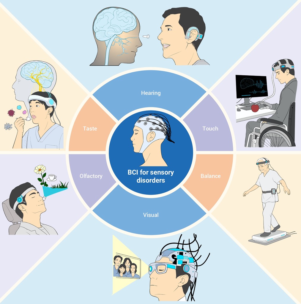 A brain-computer interface roadmap for diagnosing and ...