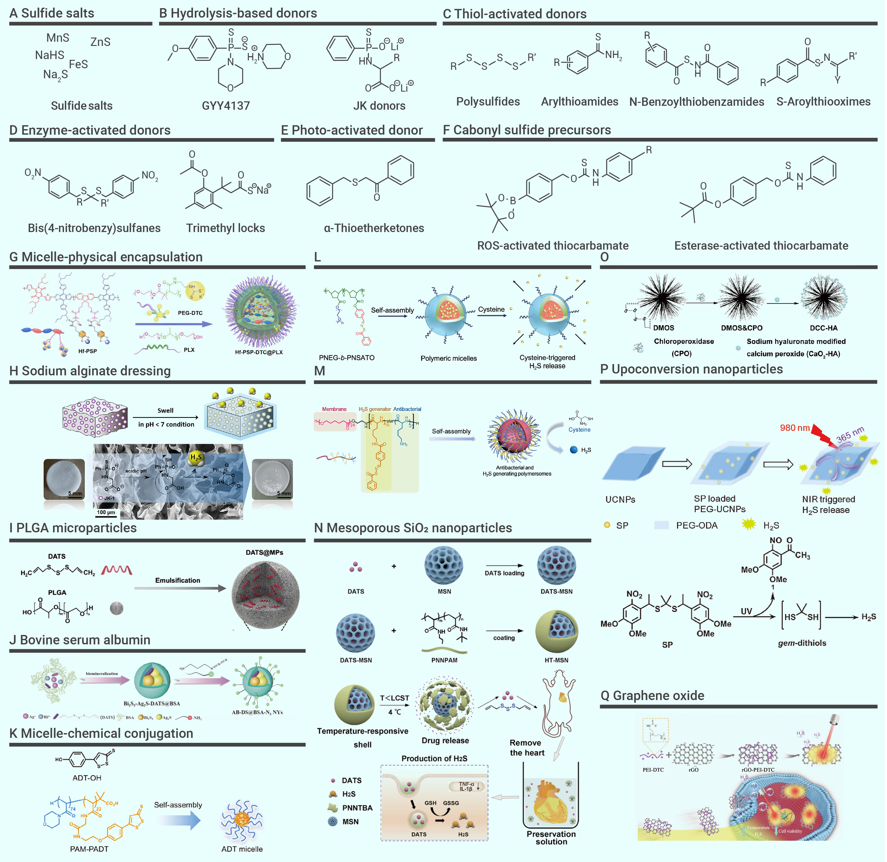 7,848 Staphylococcus Images, Stock Photos, 3D objects, & Vectors