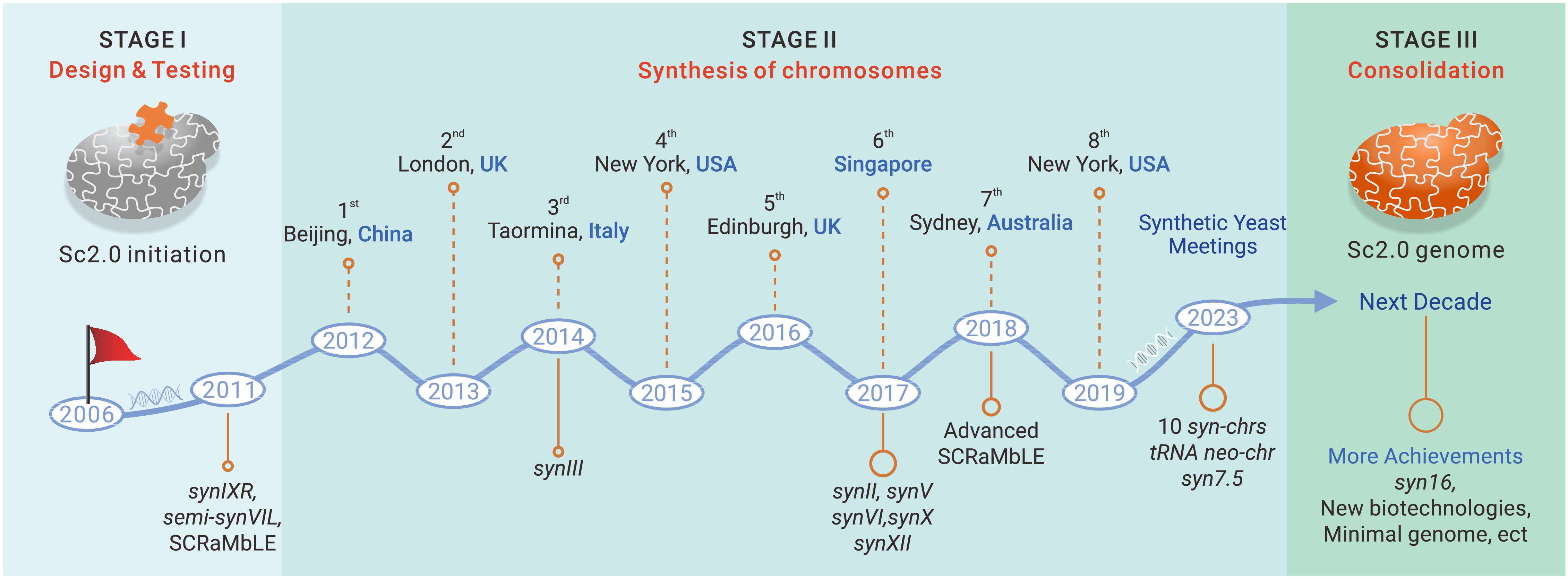 Synthetic yeast genome project and beyond