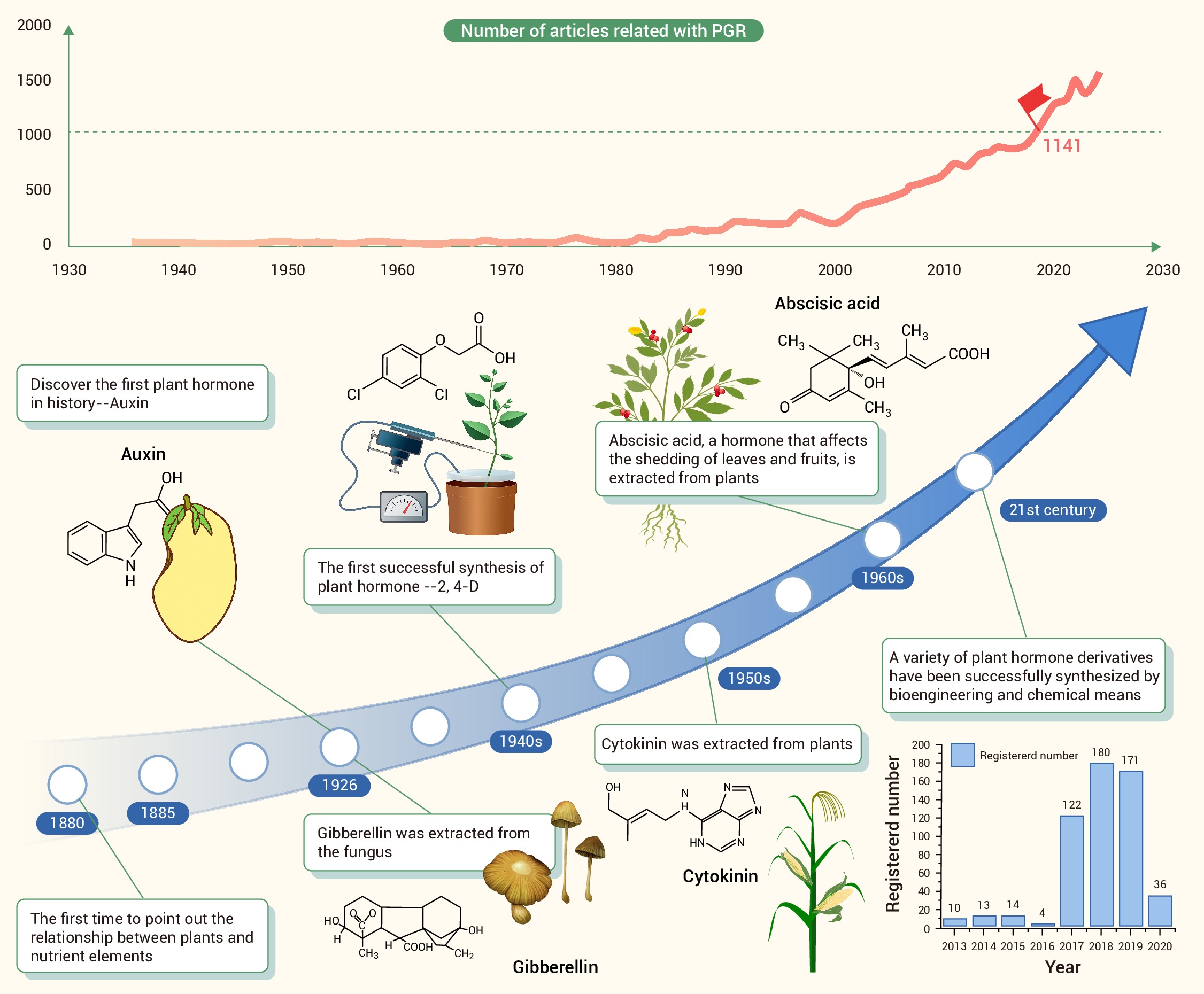 The invisible hand shaping plants: Explore the applications
