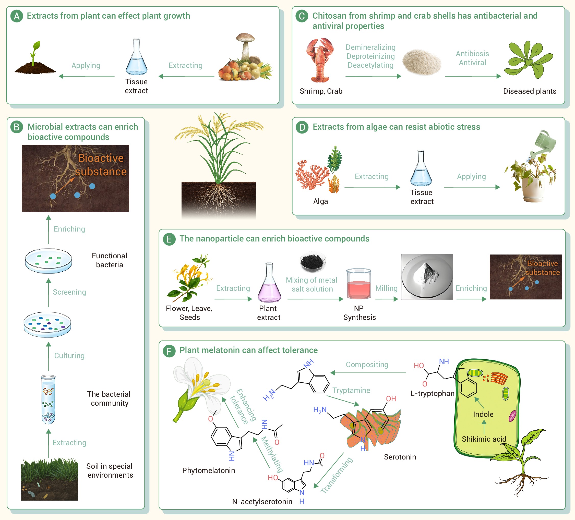 The invisible hand shaping plants: Explore the applications, challenges,  and ecological prospects of plant growth regulators