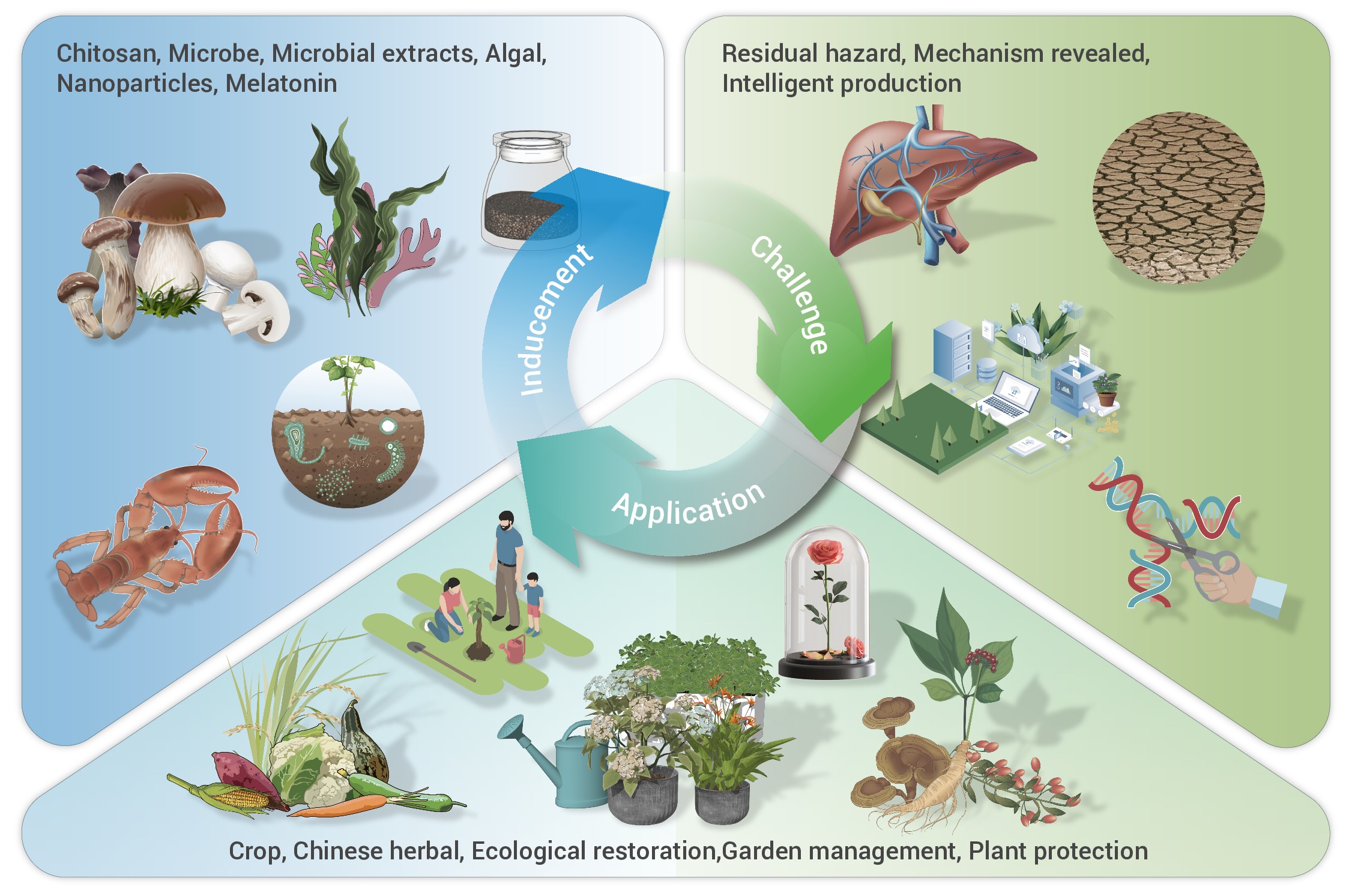 The invisible hand shaping plants: Explore the applications
