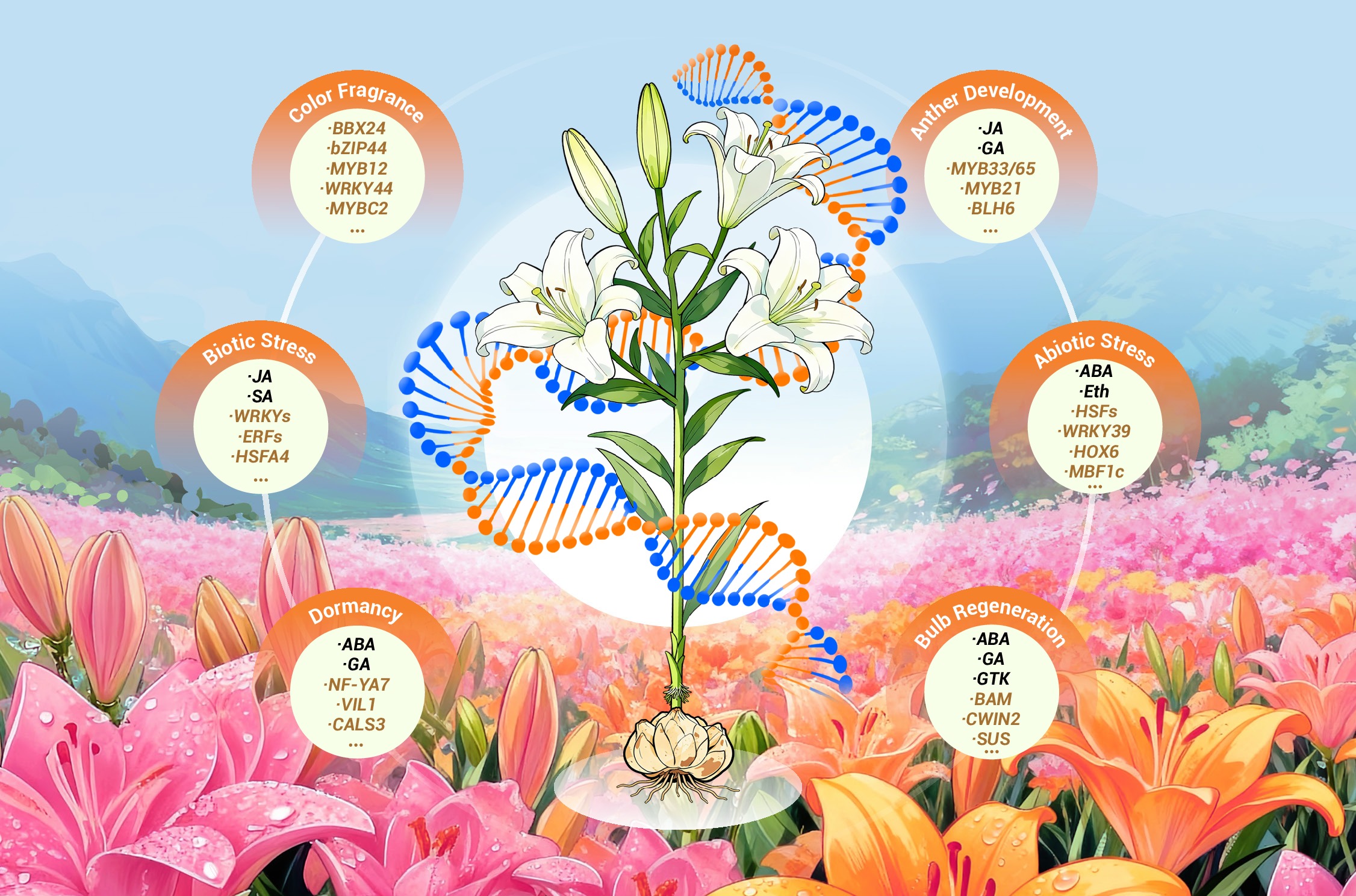 A comprehensive overview of molecular biology advancements in lily