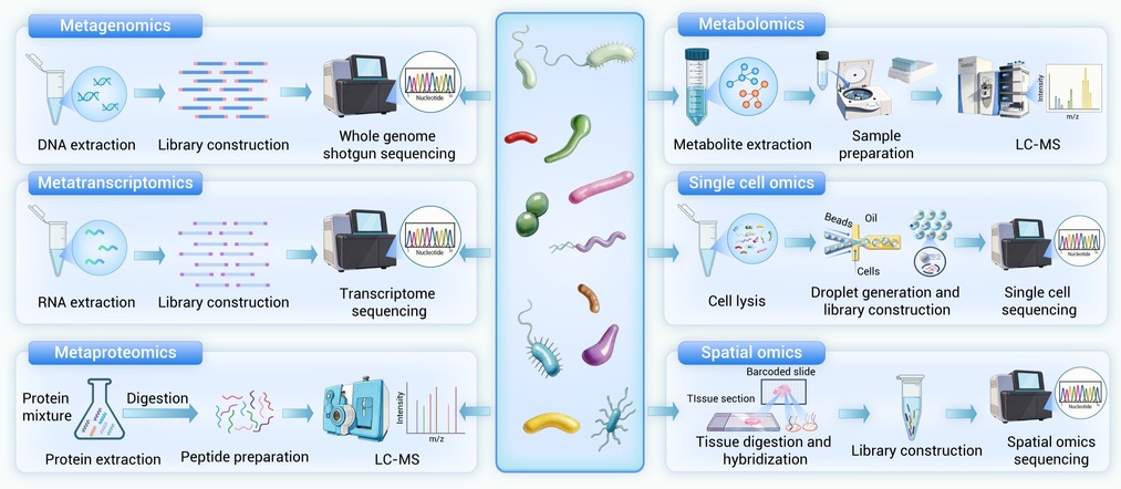 St Co 　スライド&シャーシ The interplay of environmental and human microbiomes: A review of