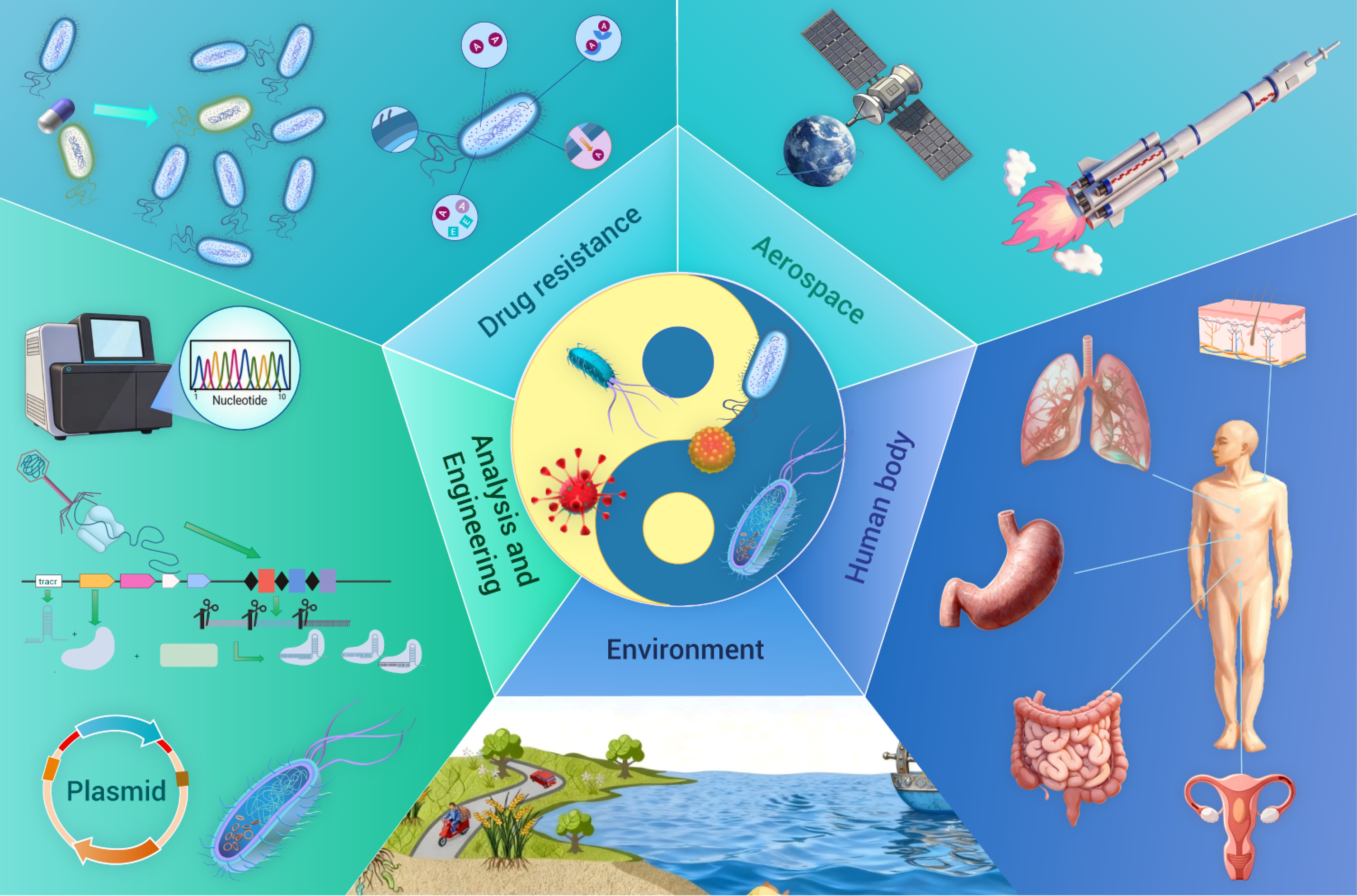 Life Essnce Water Life Seres。0 Shop Now | Icon LifeSaver – Icon Lifesaver
