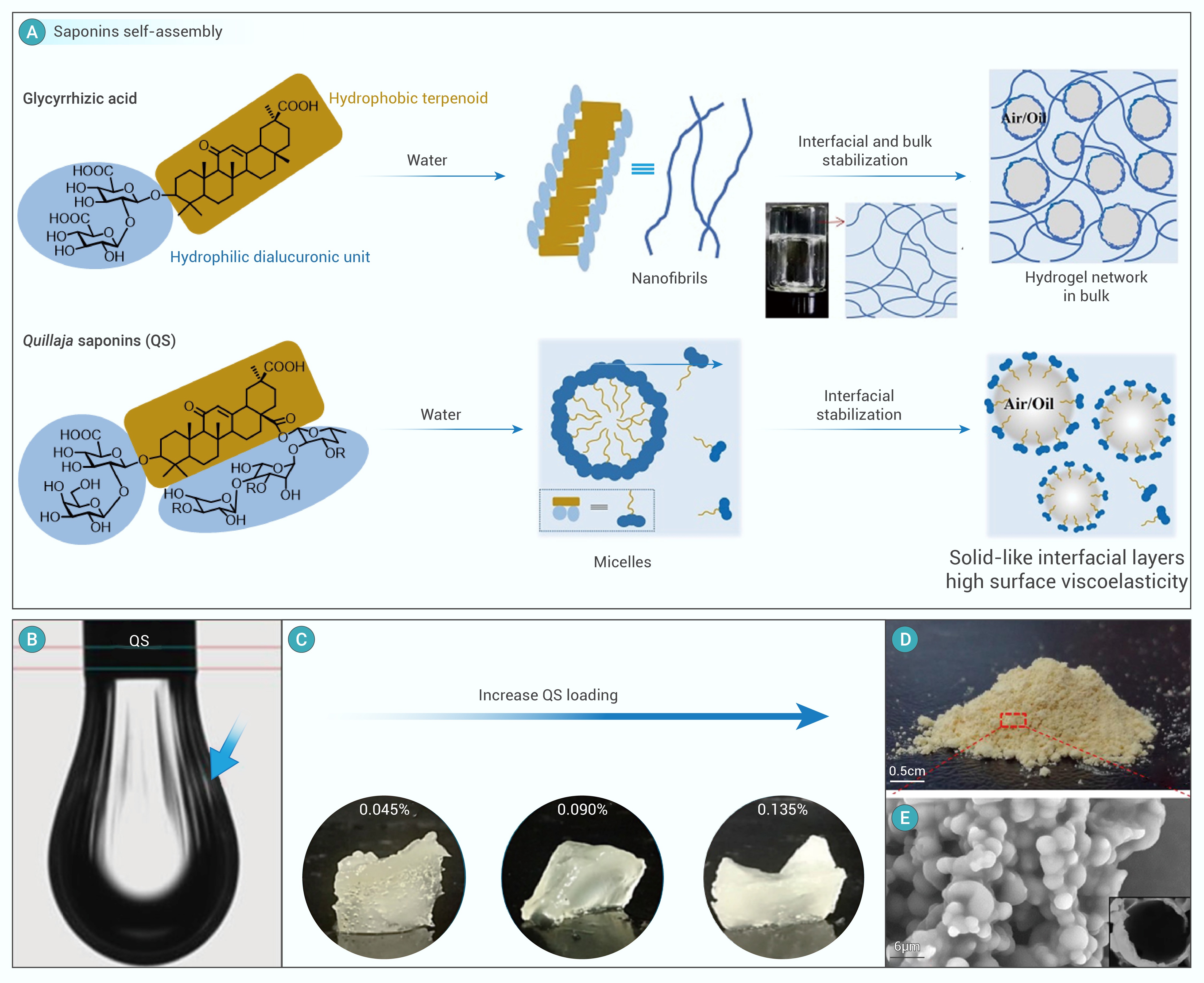 Bark extractives as sources of carbon-efficient functional