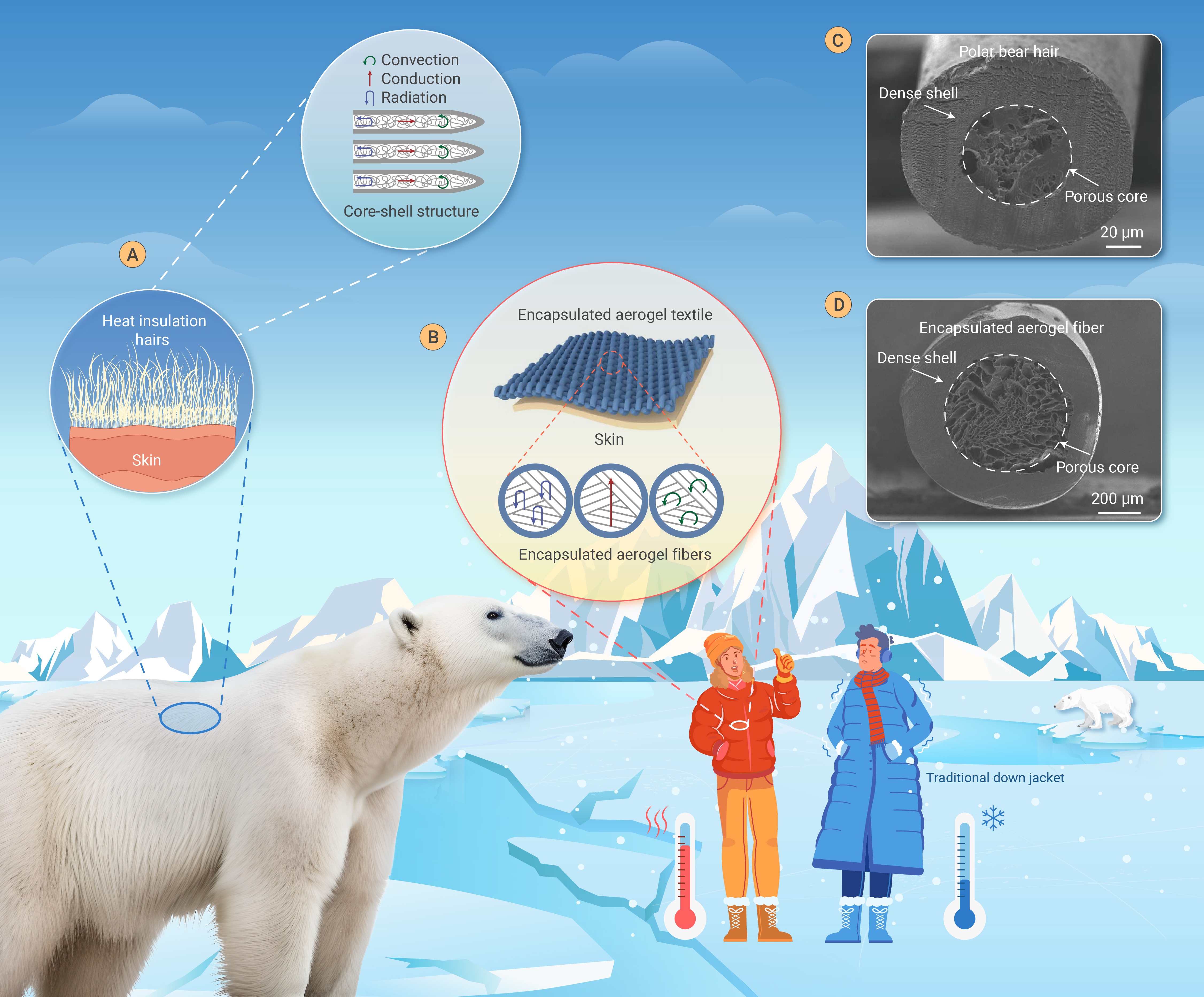 Nature-inspired aerogel fiber