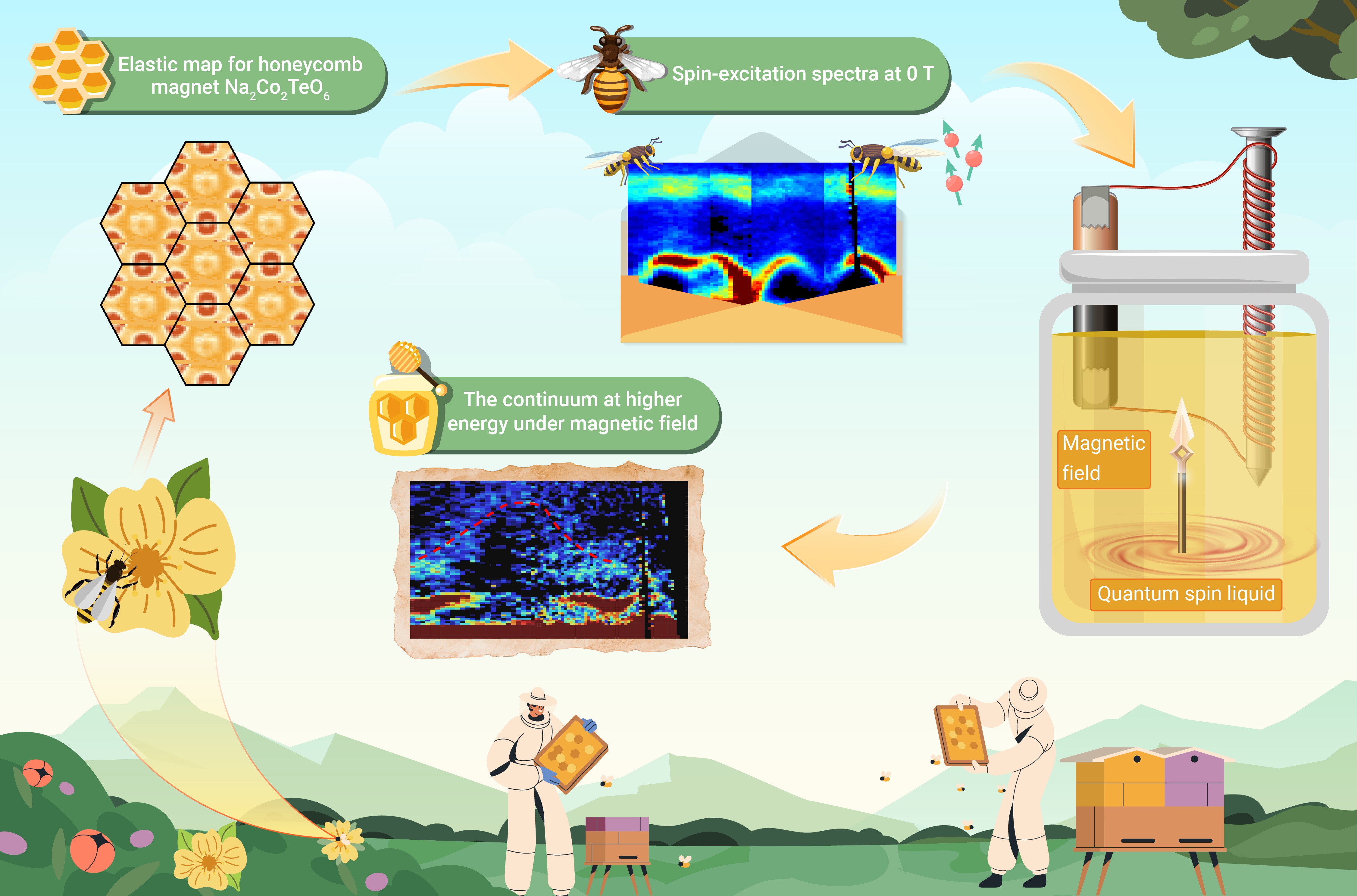 フィギュア Daidzein as an Antioxidant of Lipid: Effects of the