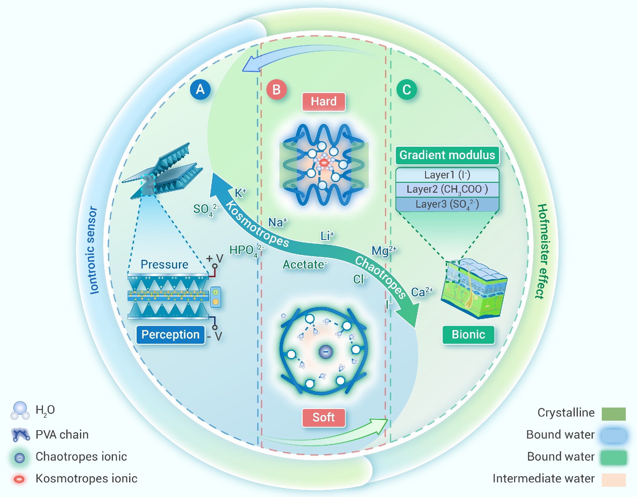 Hofmeister effect regulated gel iontronic sensors for wide-range