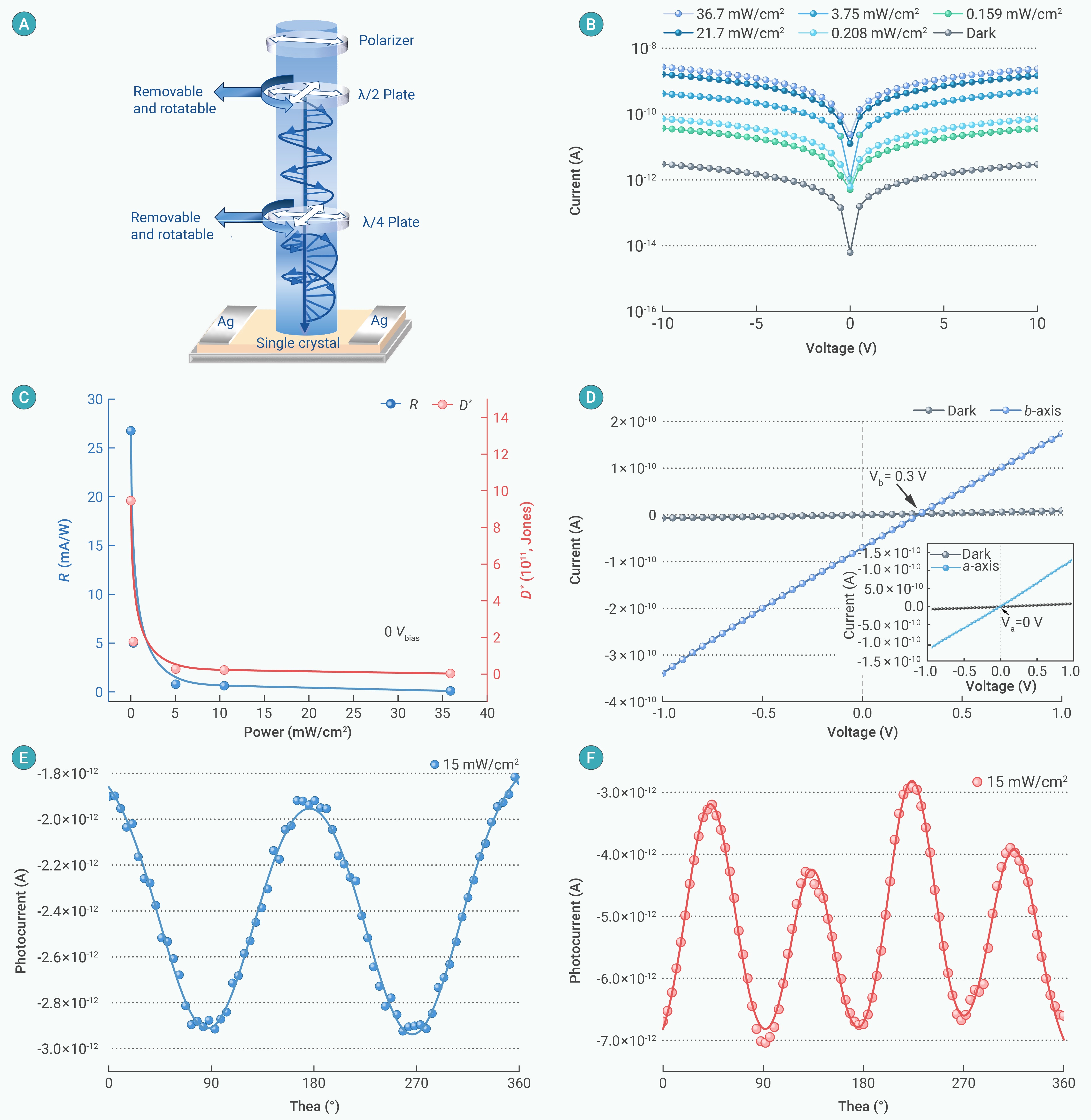 Precise design of chiral-polar hybrid perovskites toward