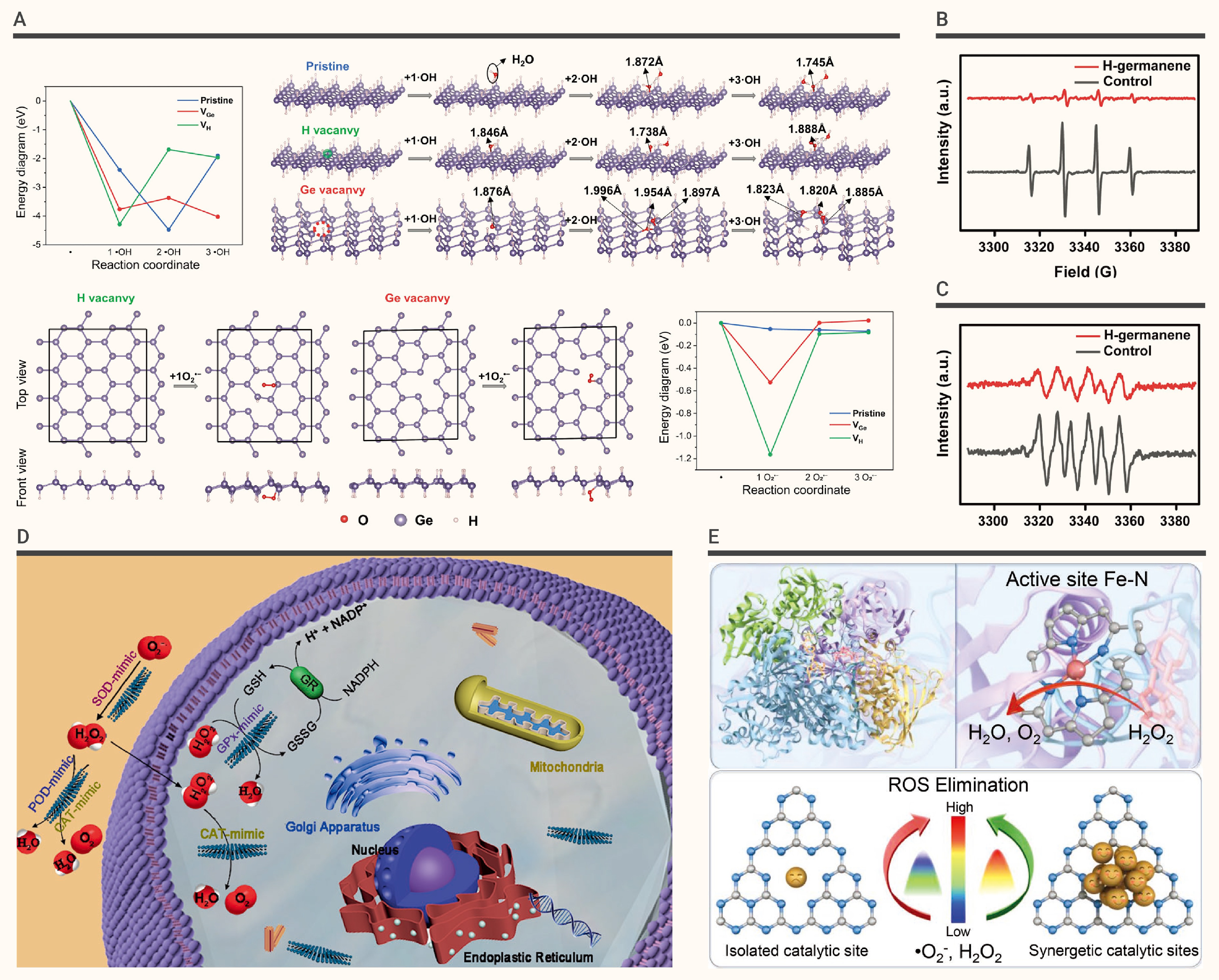 Two-dimensional nanomaterials for inflammation-related