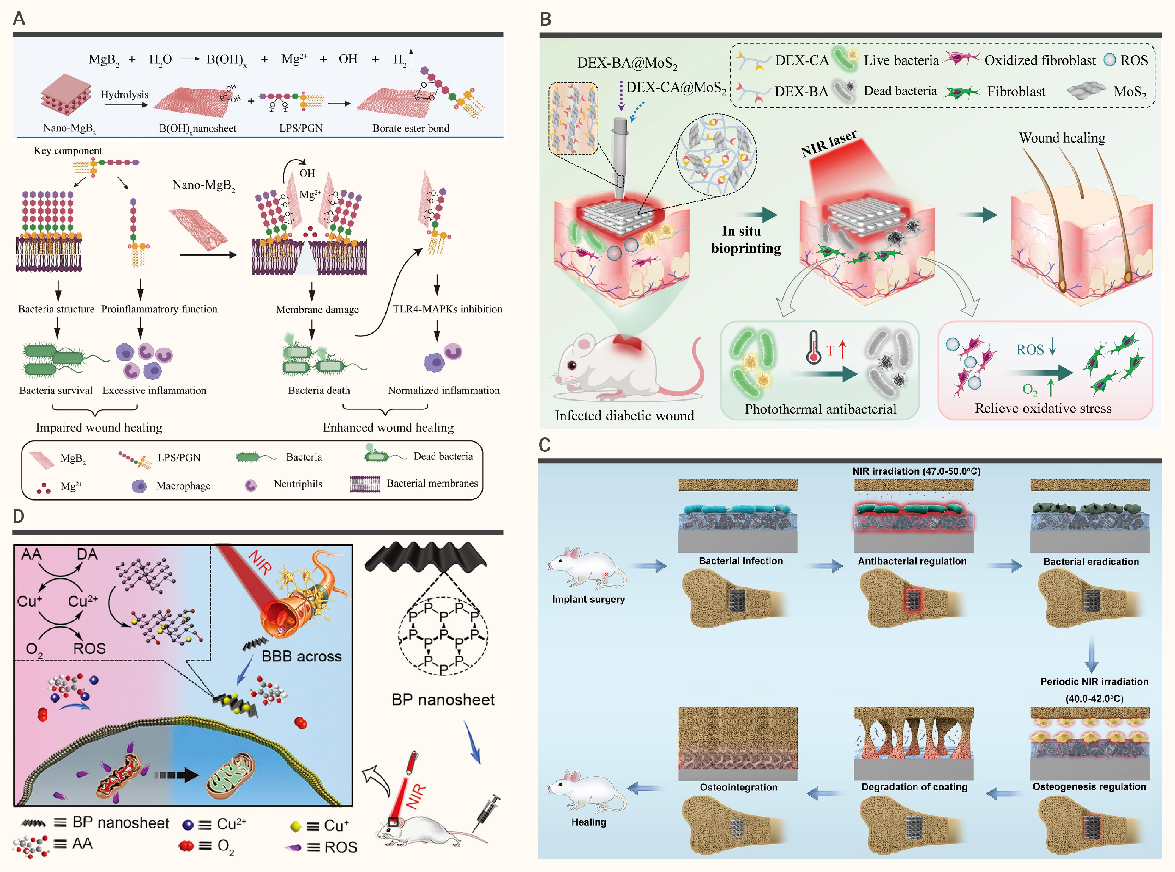 Two-dimensional nanomaterials for inflammation-related