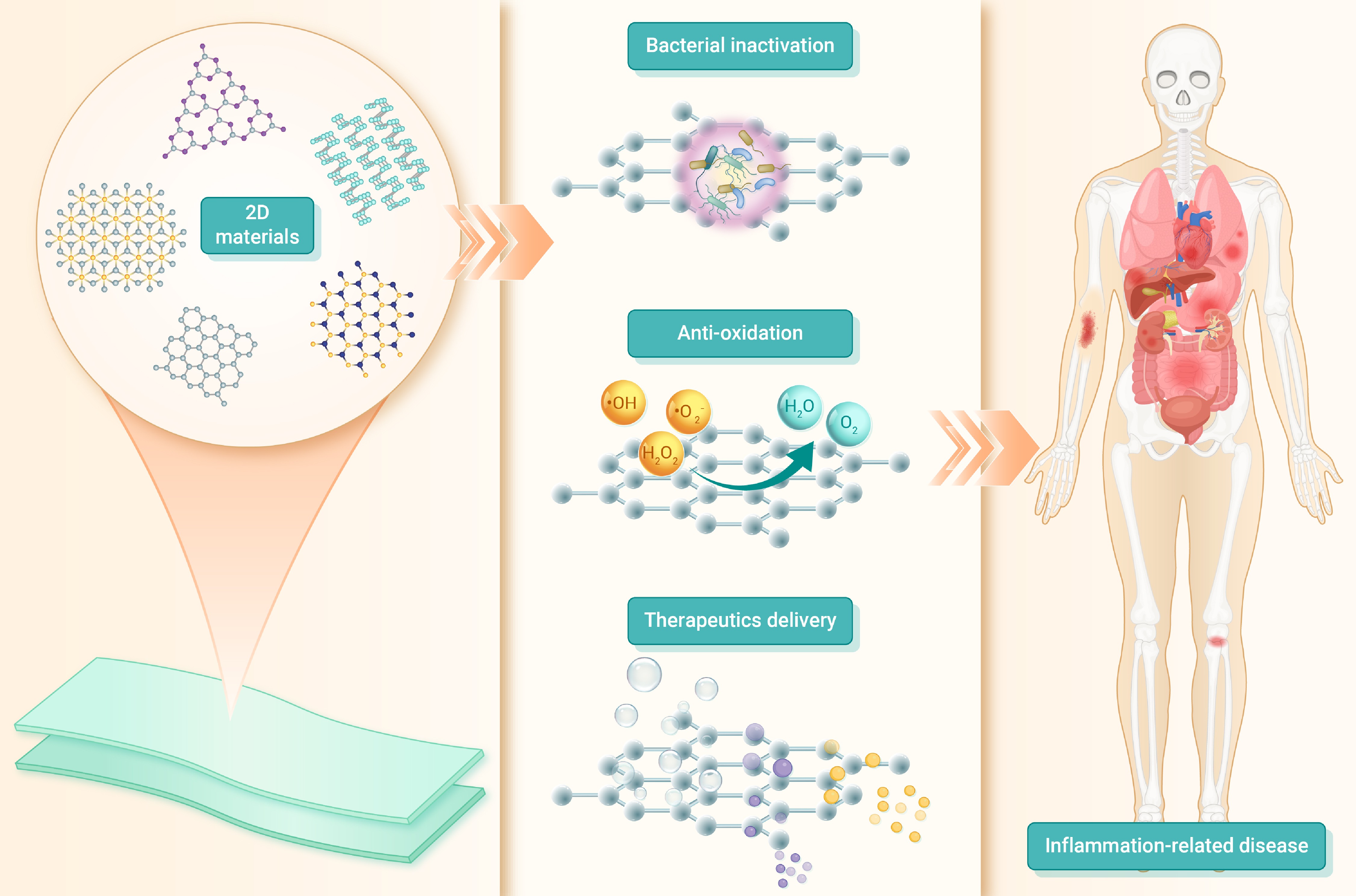 Two-dimensional nanomaterials for inflammation-related