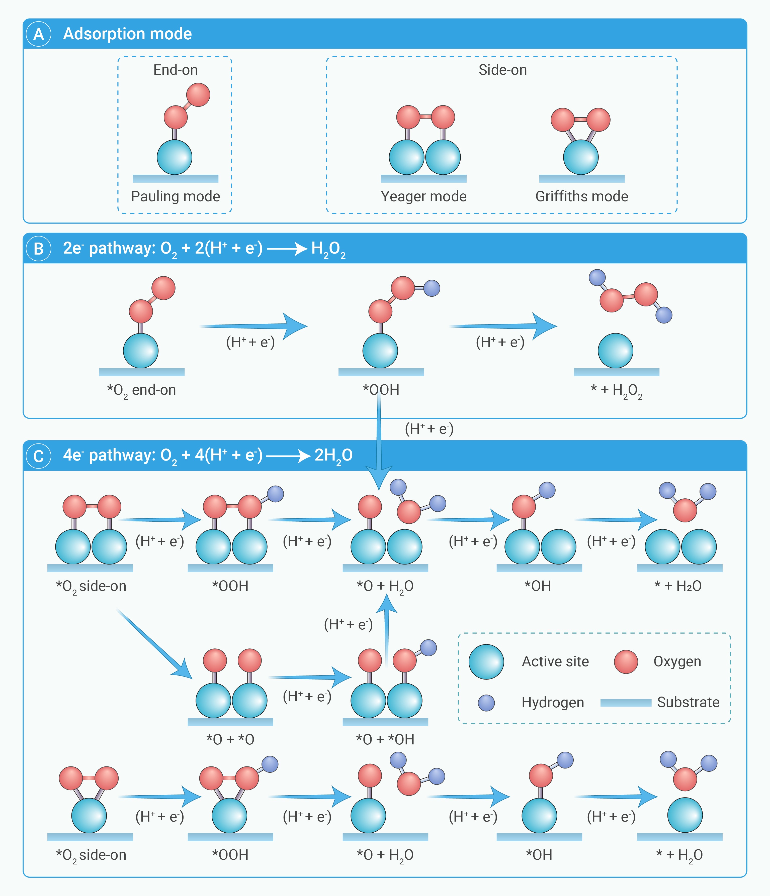 Strategies for enhancing catalytic performance of single-atom 