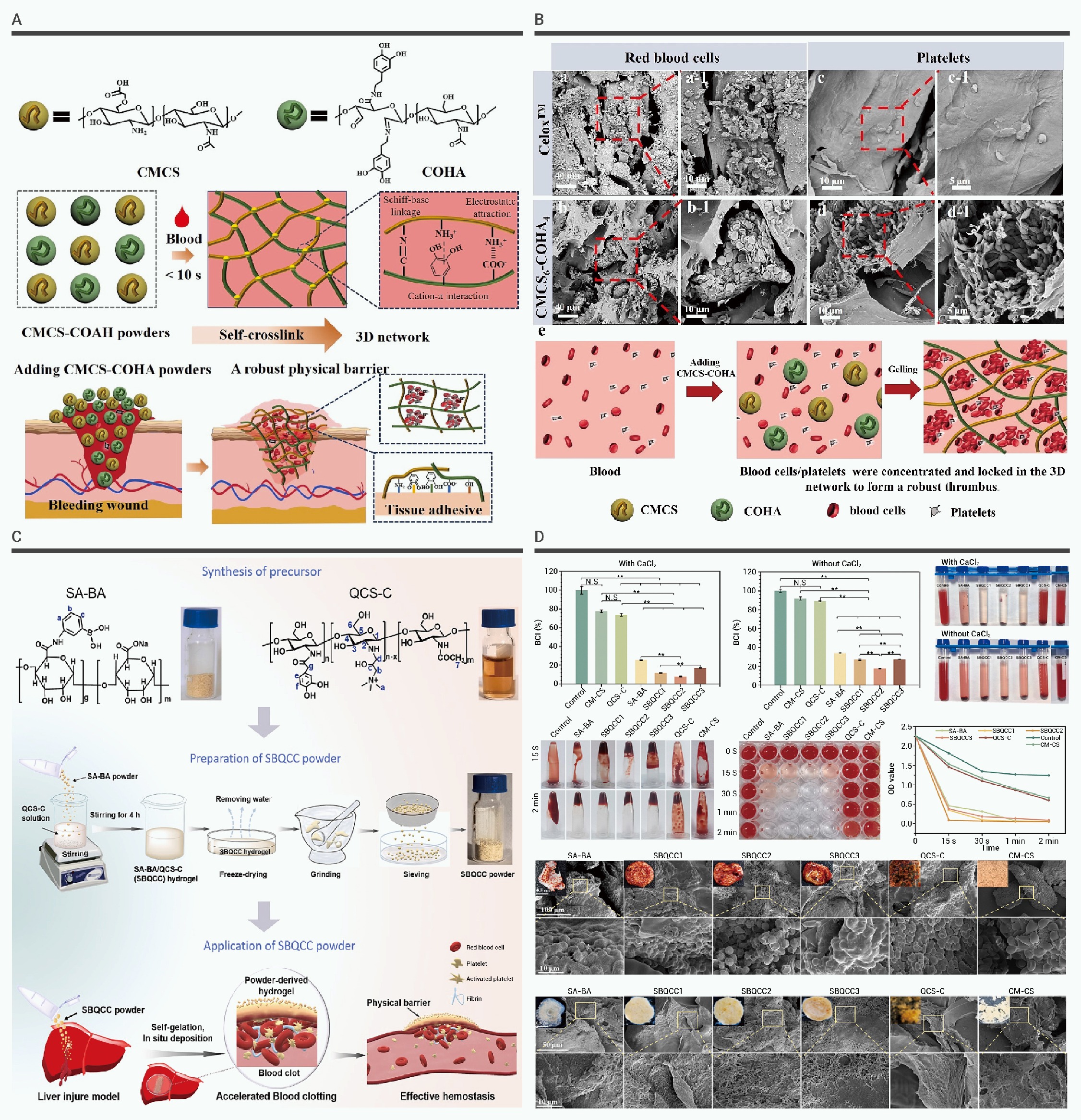 専用ページ　3 Research progress on the hemostatic mechanism of natural bio-based