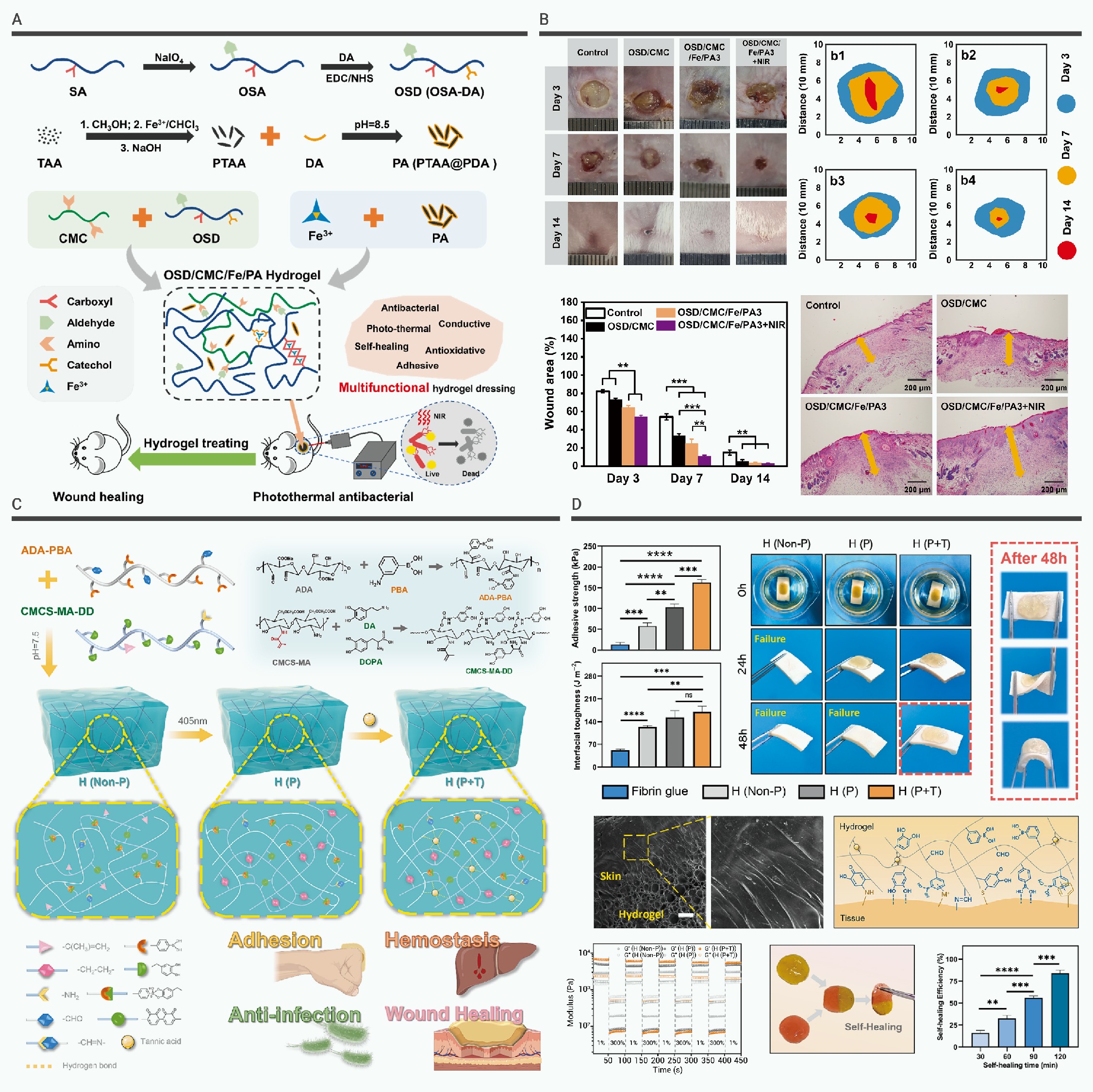 Research progress on the hemostatic mechanism of natural bio-based