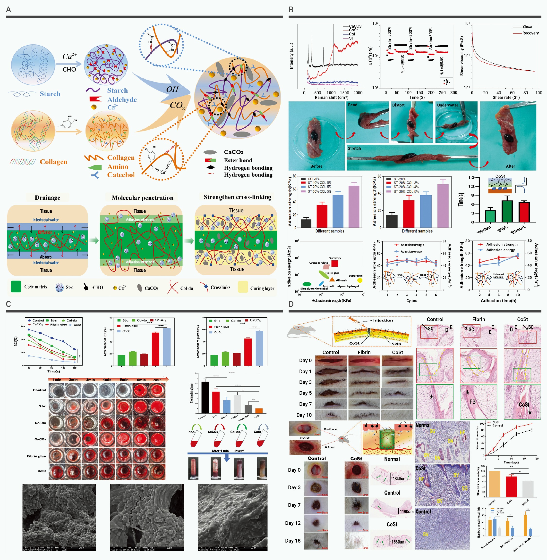 Research progress on the hemostatic mechanism of natural bio-based