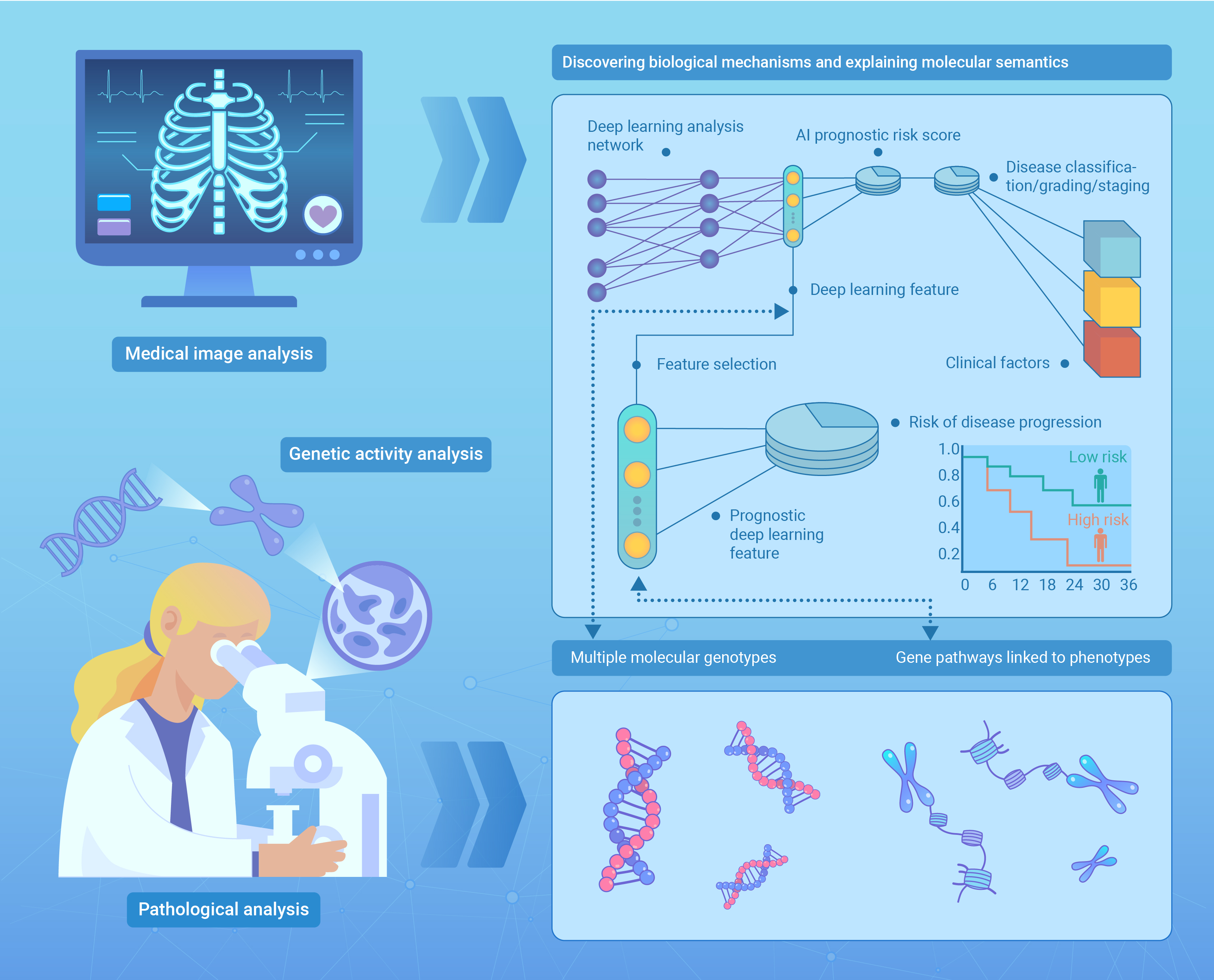 Artificial intelligence for medicine: Progress, challenges, and perspectives