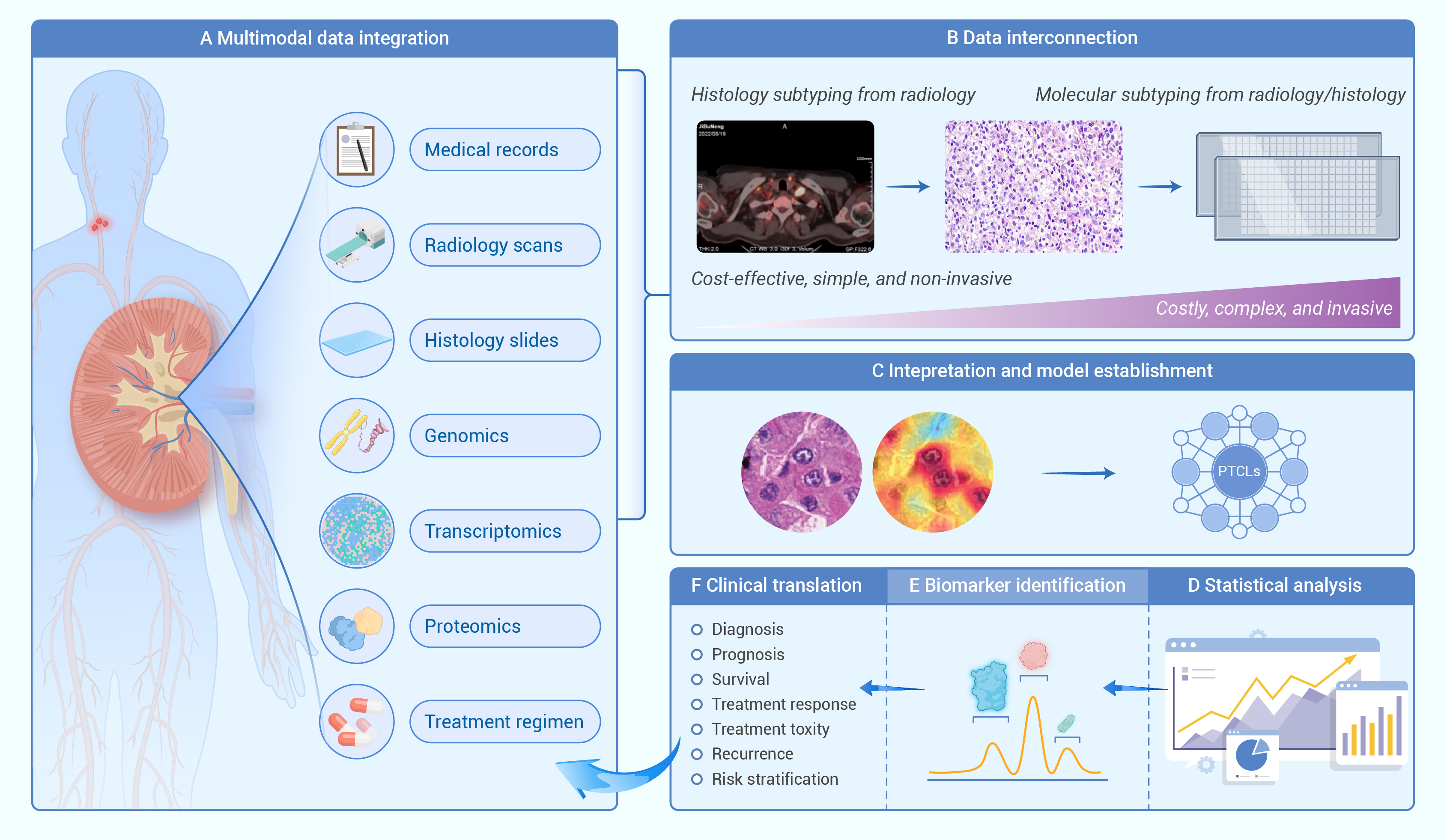 Precise diagnosis and treatment for peripheral T-cell