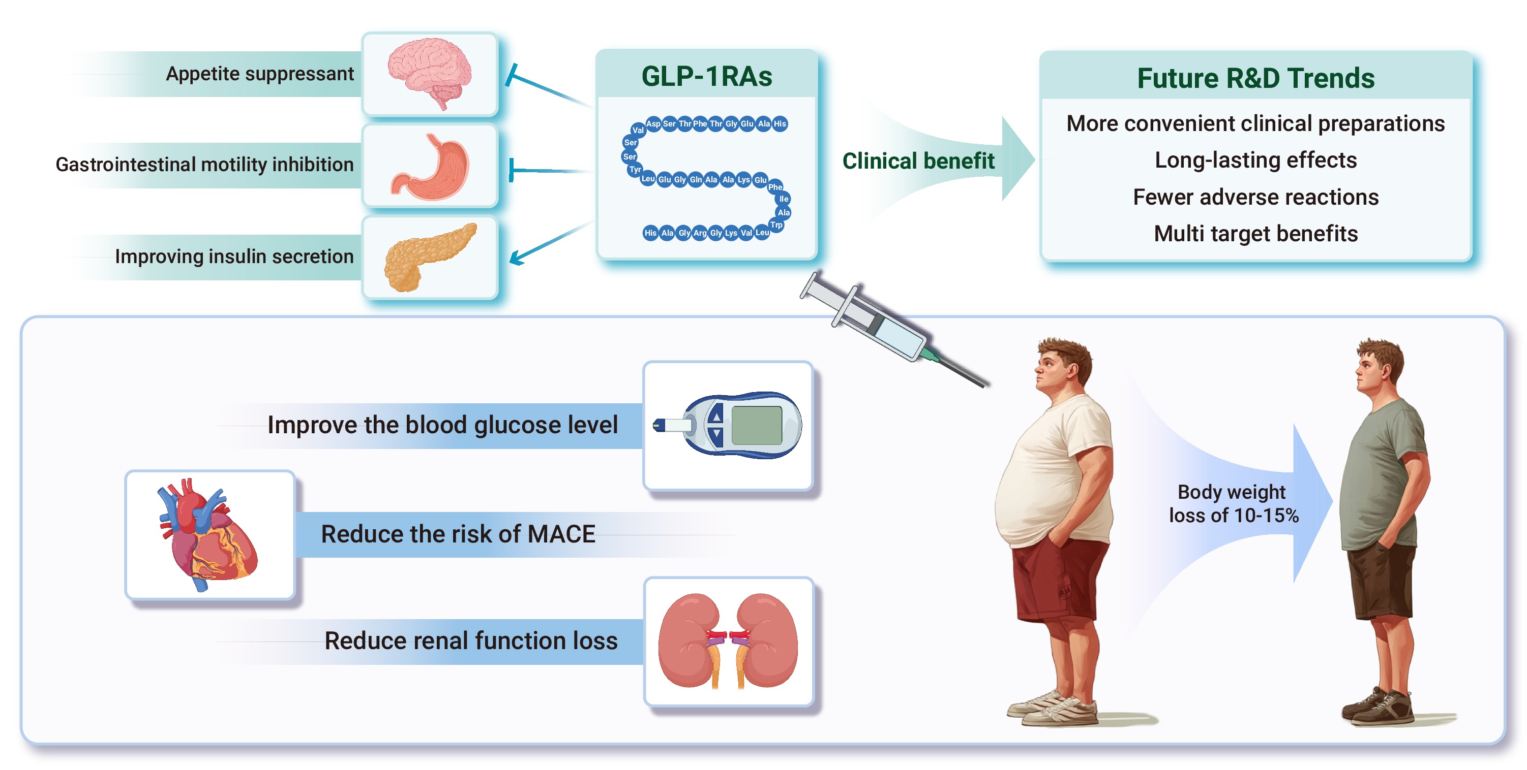 appetite suppressant glp 1 GLP-1R agonists: Full of hope, use with caution