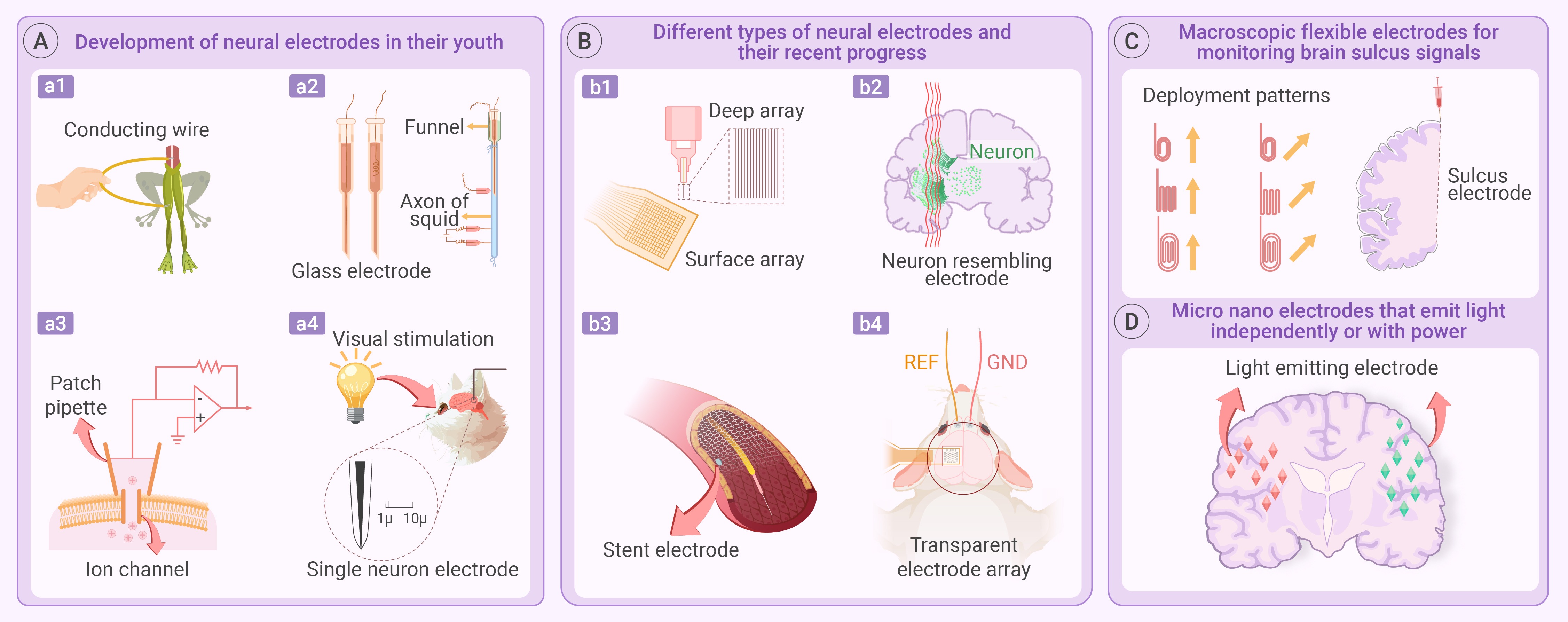 The past and future depicted by neural electrode technology