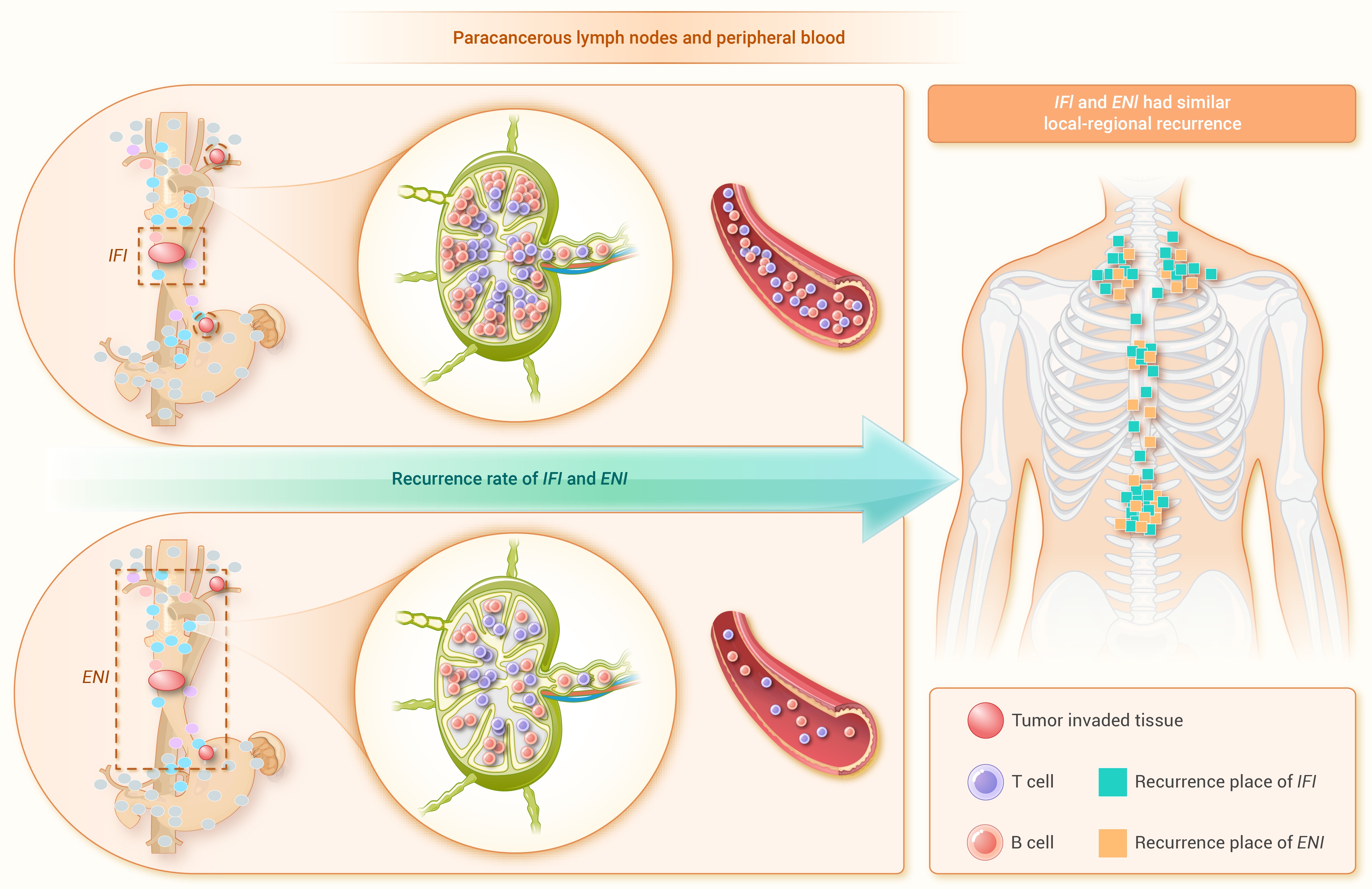 Optimization of combined chemoradiotherapy and immunotherapy