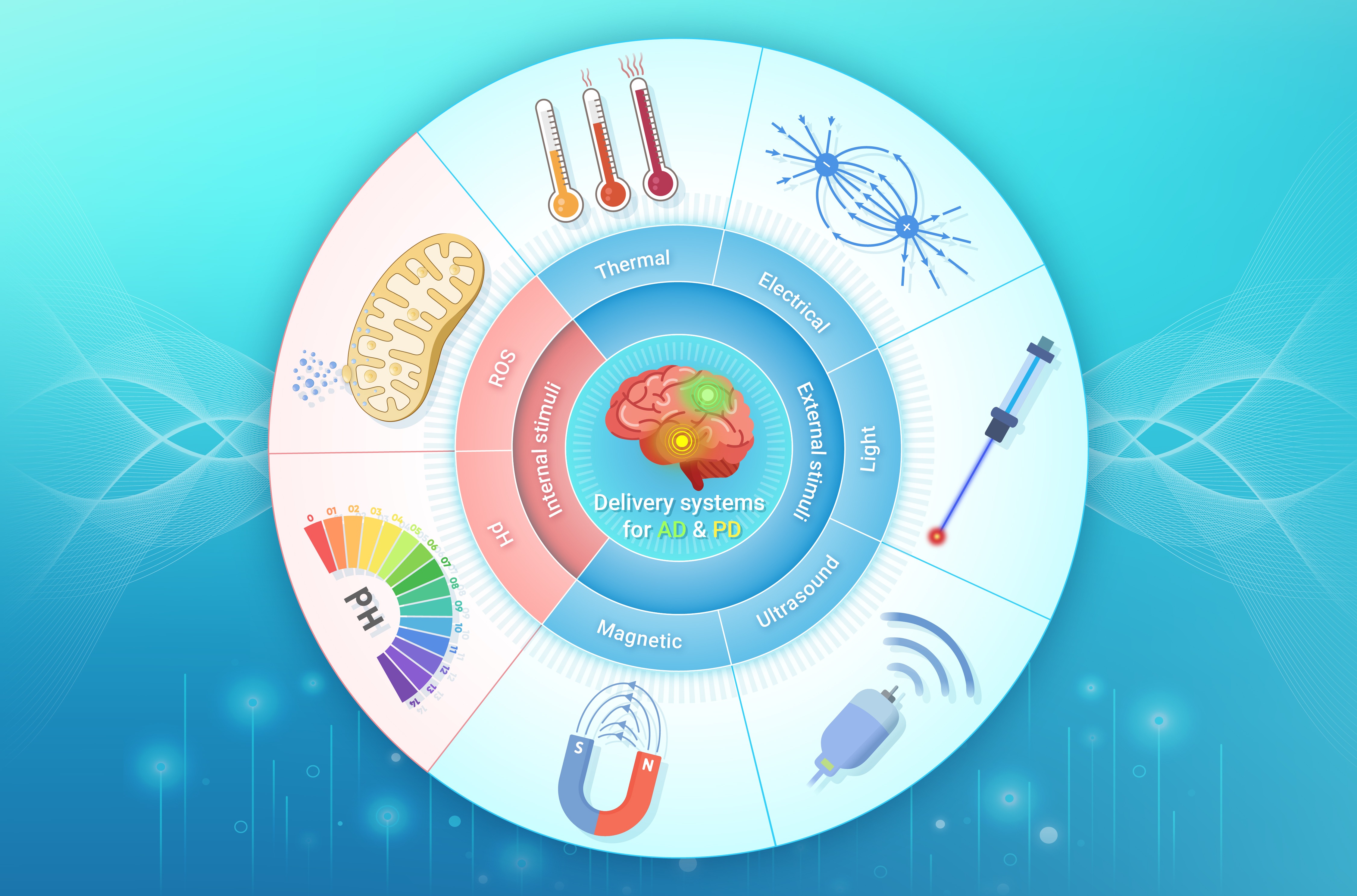 ゲームボーイ Non-invasive neuromodulation assisted by exogenous stimuli