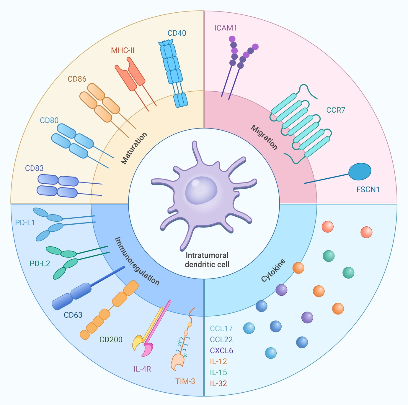 XINNMEDICINE-2024-0193-
