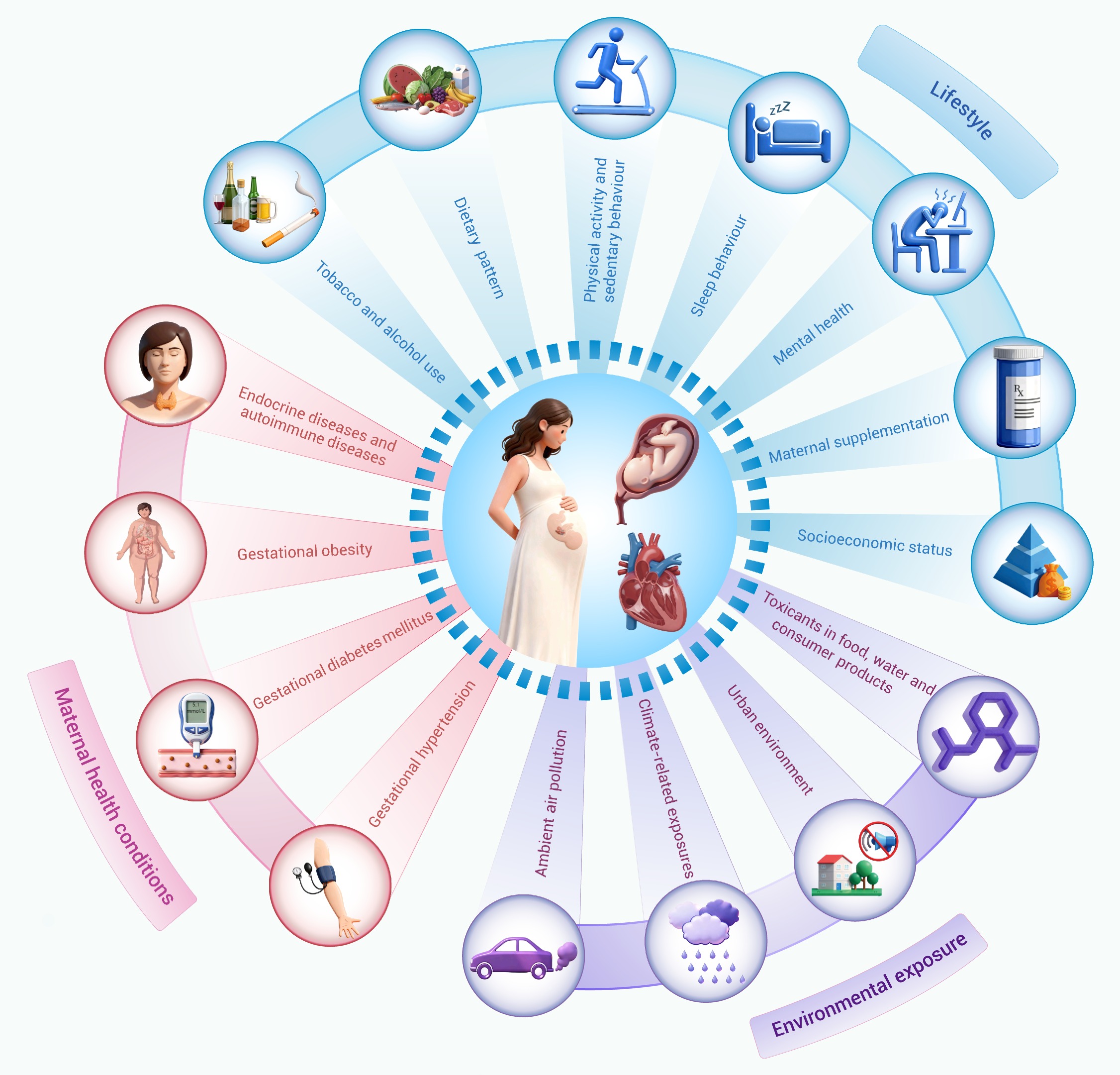 glutathione pregnancy complications first trimester Is Tylenol Safe During Pregnancy? Understanding Risk Factors — Seeking  Health main image 0