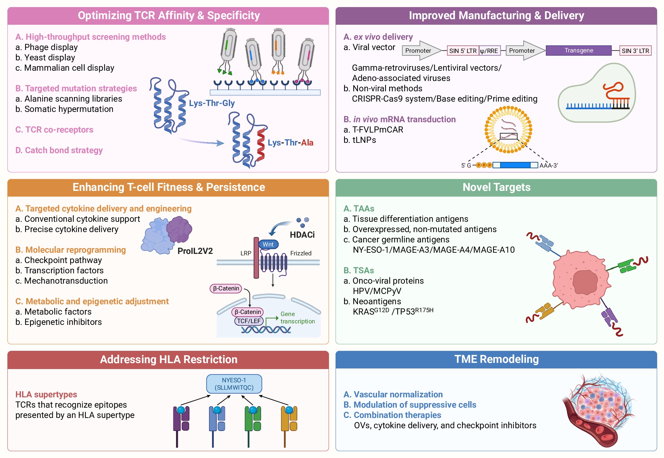 A prospective for TCR-T therapy in solid tumors: Pushing the