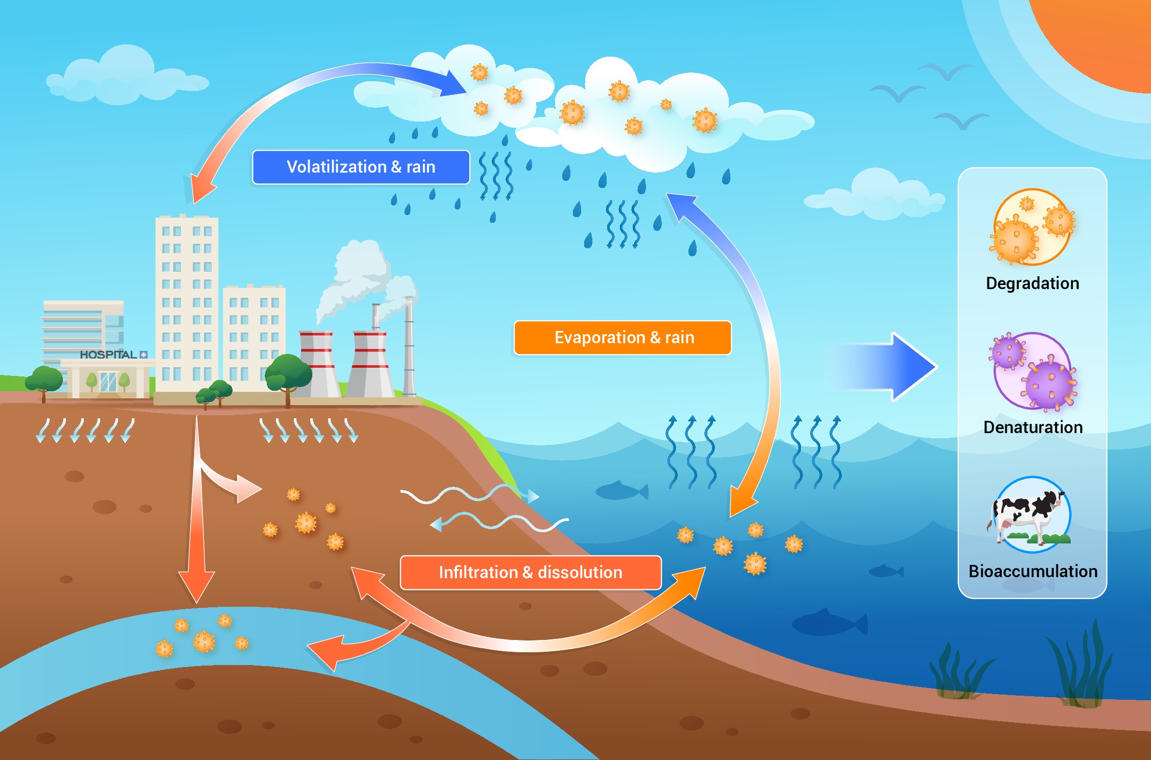 Emerging contaminants and their impacts on atopic dermatitis