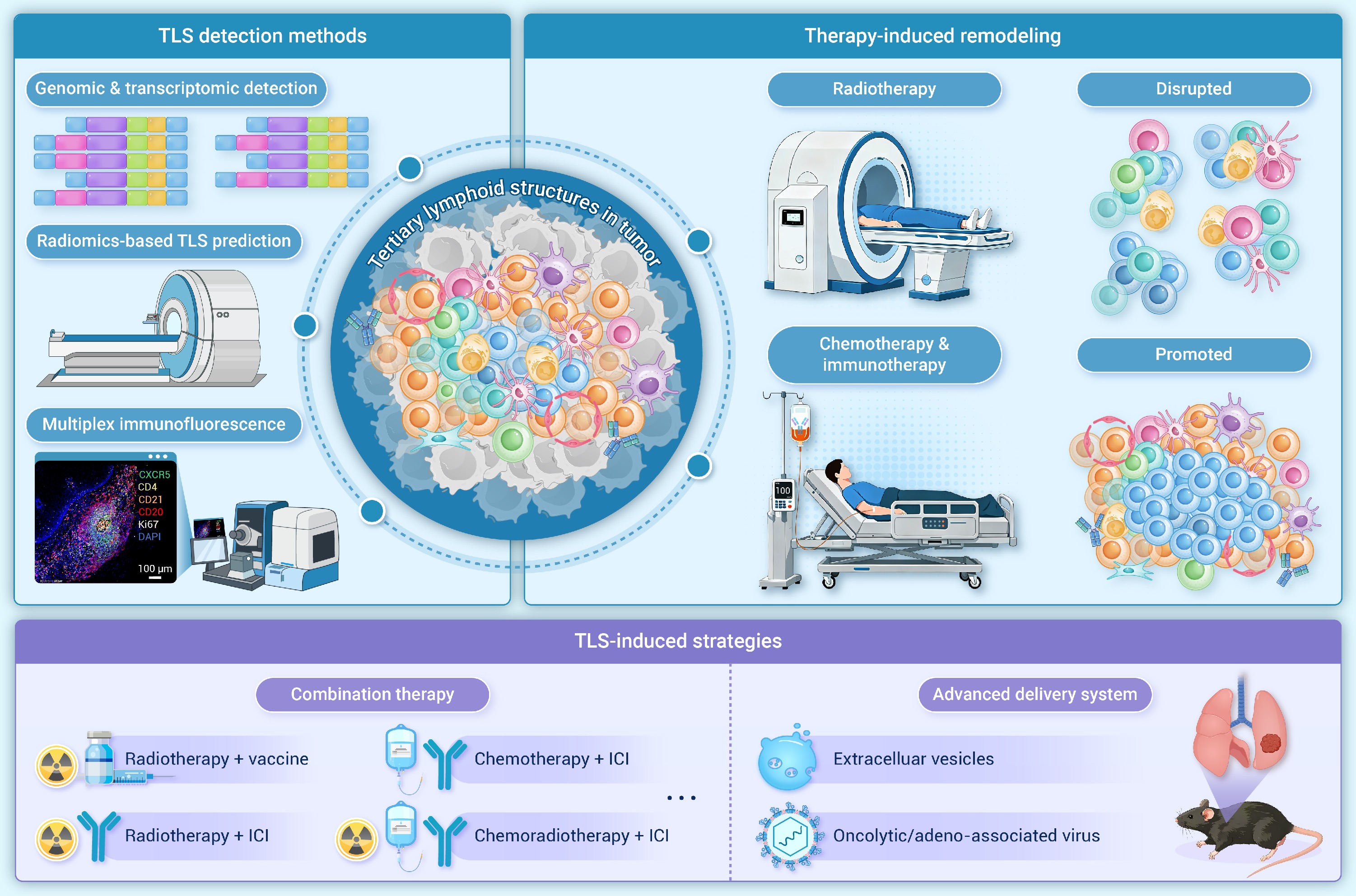 Heterogeneity へトロジェニティ Heterogeneity, immunological mechanisms and translational
