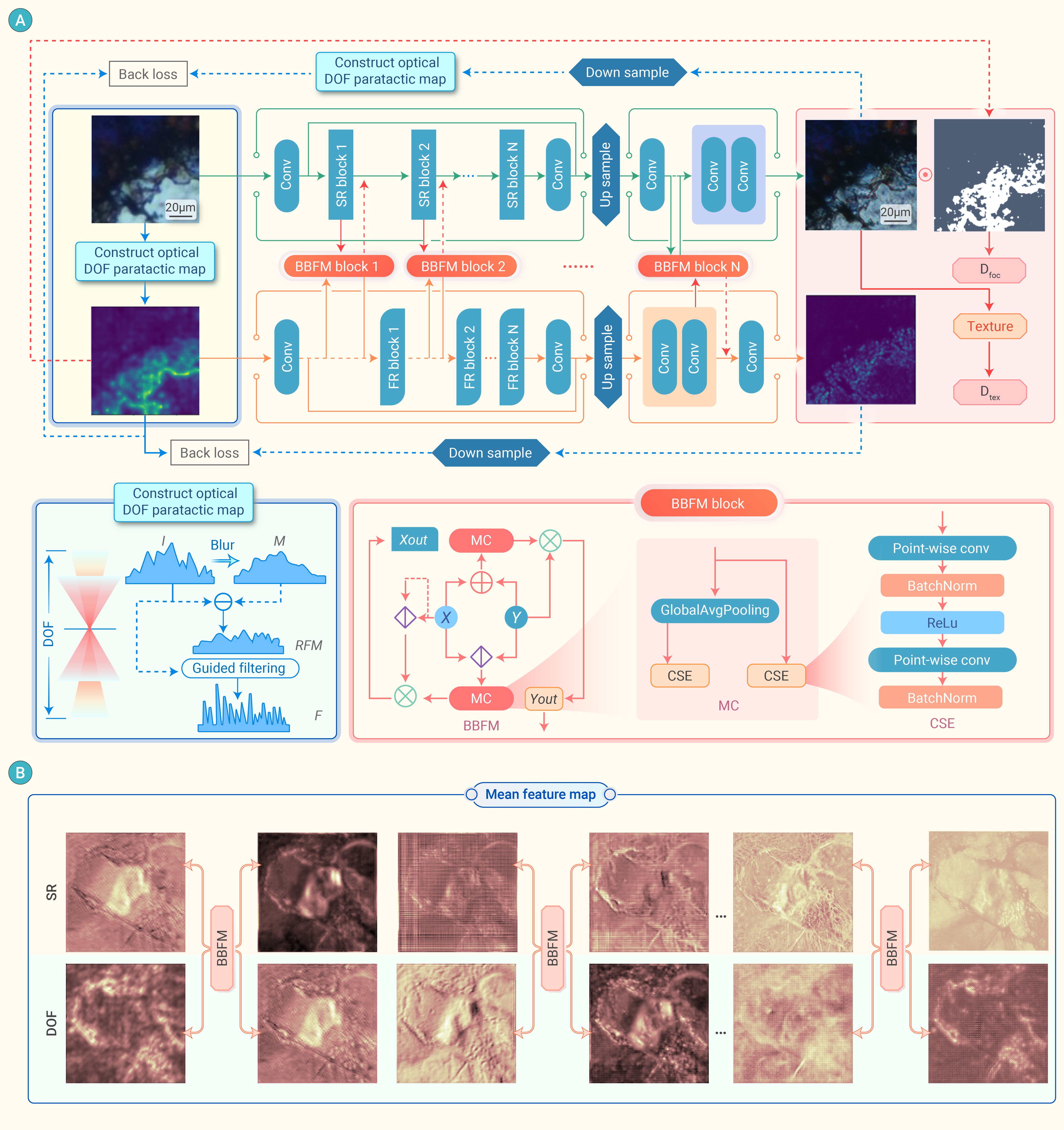 Extended depth-of-field resolution enhancement microscopy imaging for ...