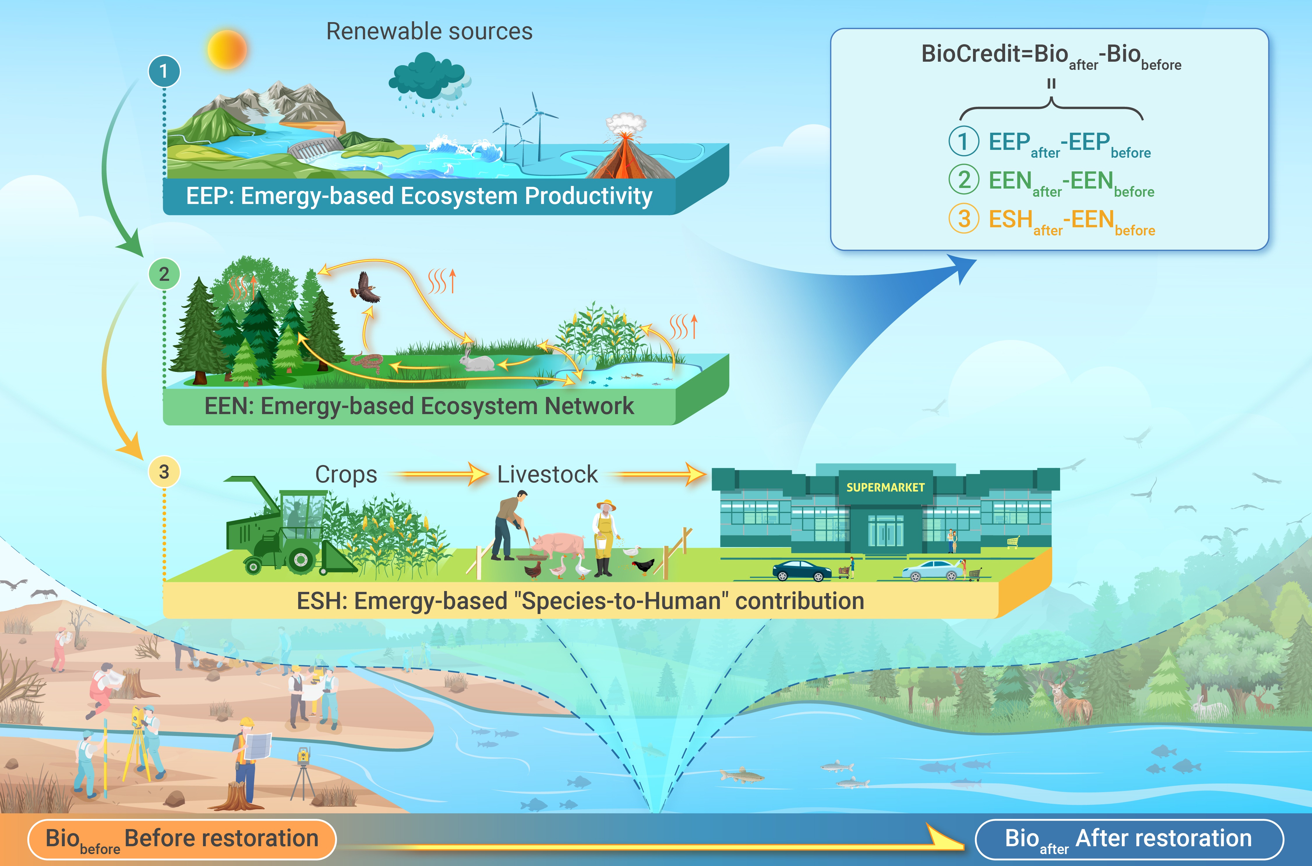 Designing a biodiversity credit accounting framework for environmental ...