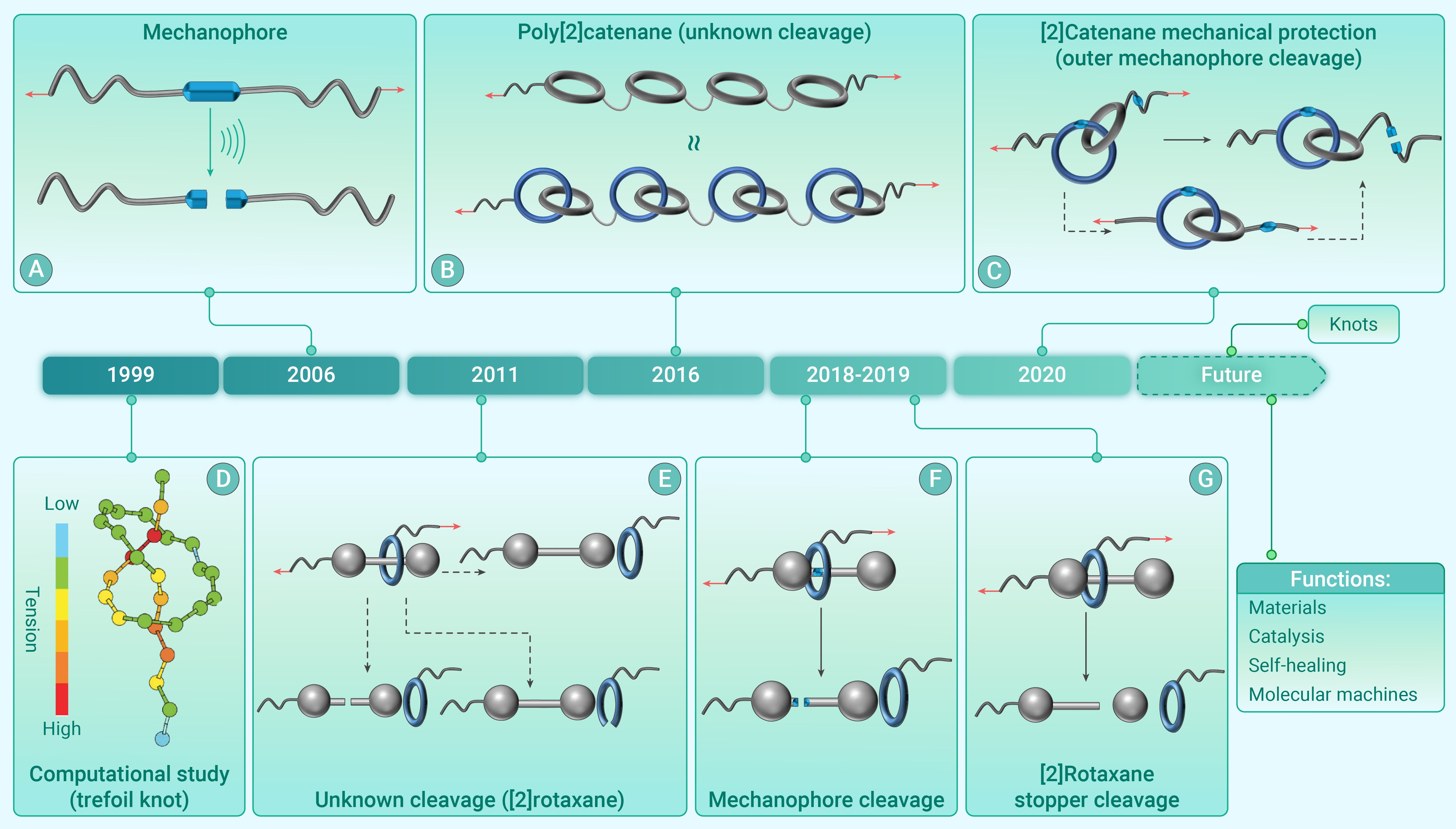 Insight into the implication of high-loading mechanical force on the ...