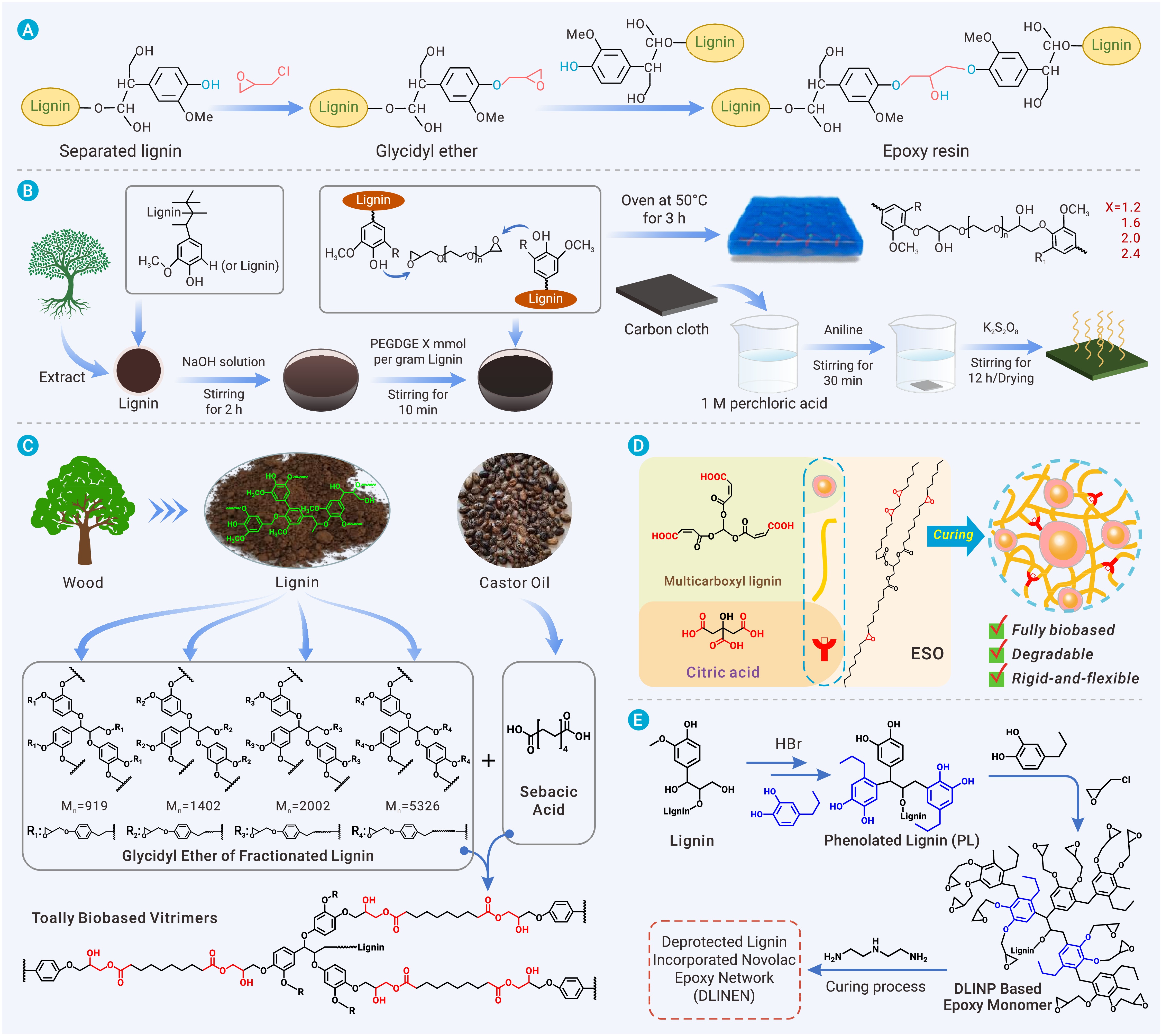 Bio–based polymers from lignin