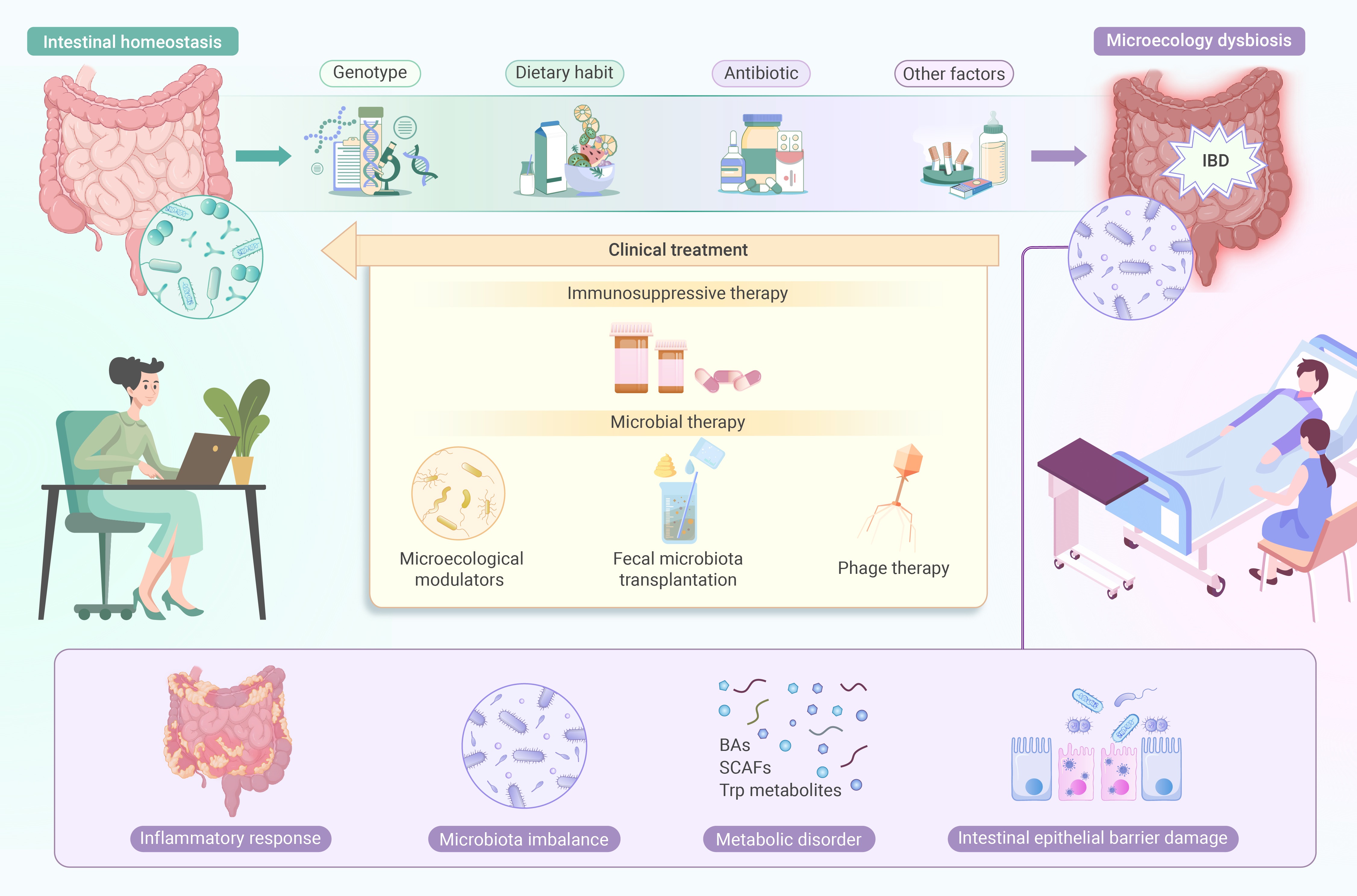 Intestinal microecology dysbiosis in inflammatory bowel disease ...